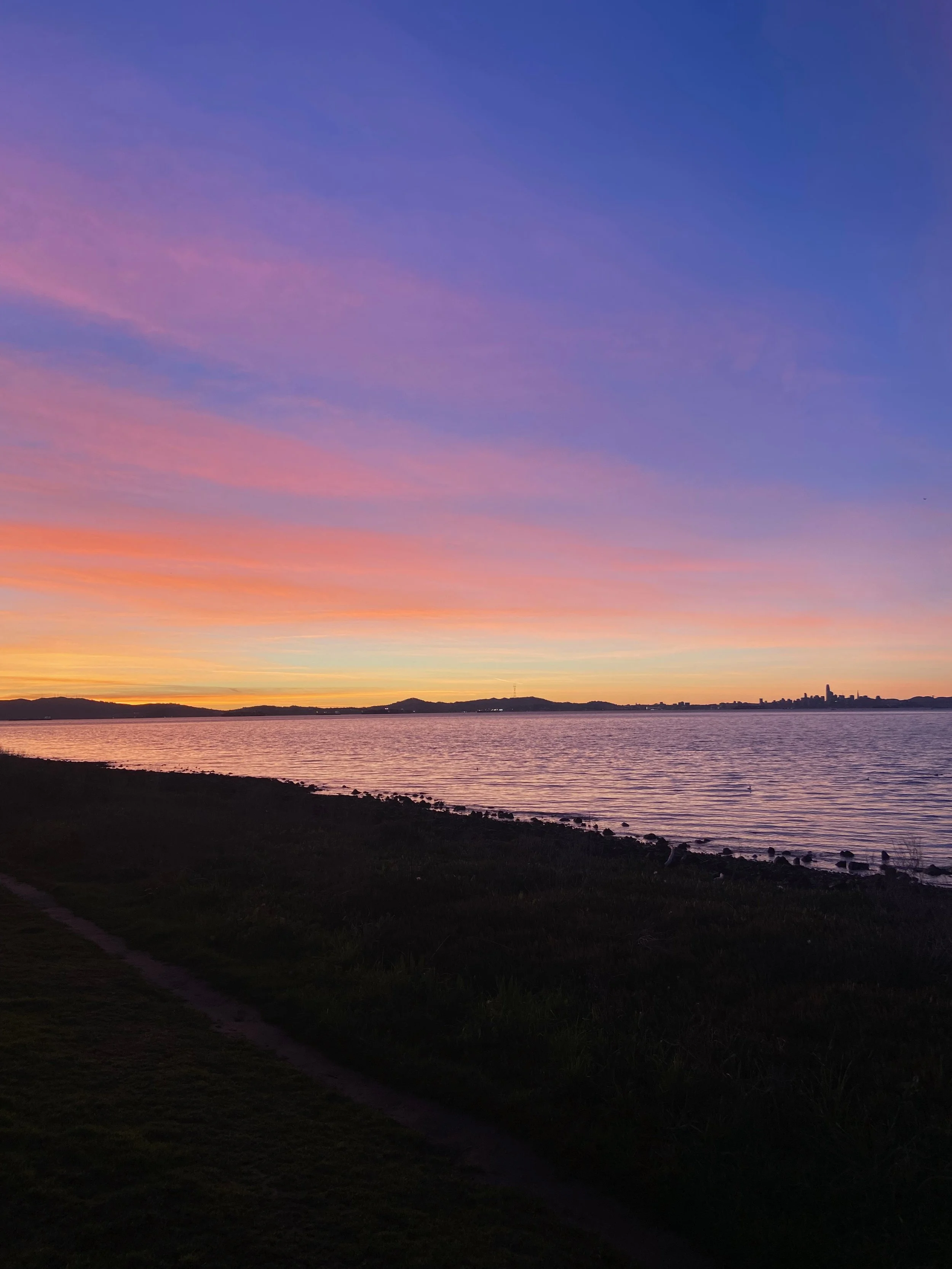 "Reading is migratory…”