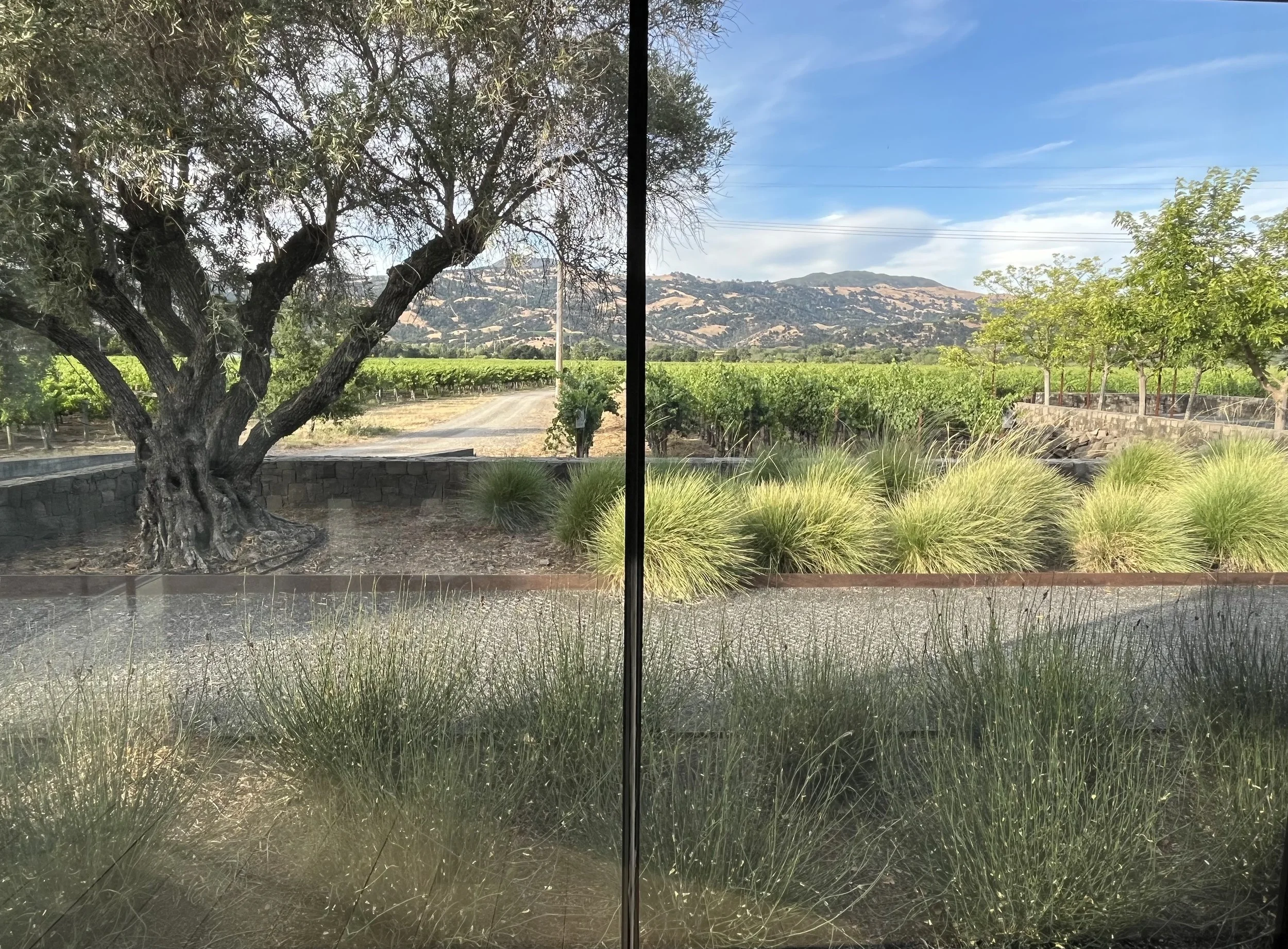 "It is in the shelter of each other that the people live." - Irish Proverb