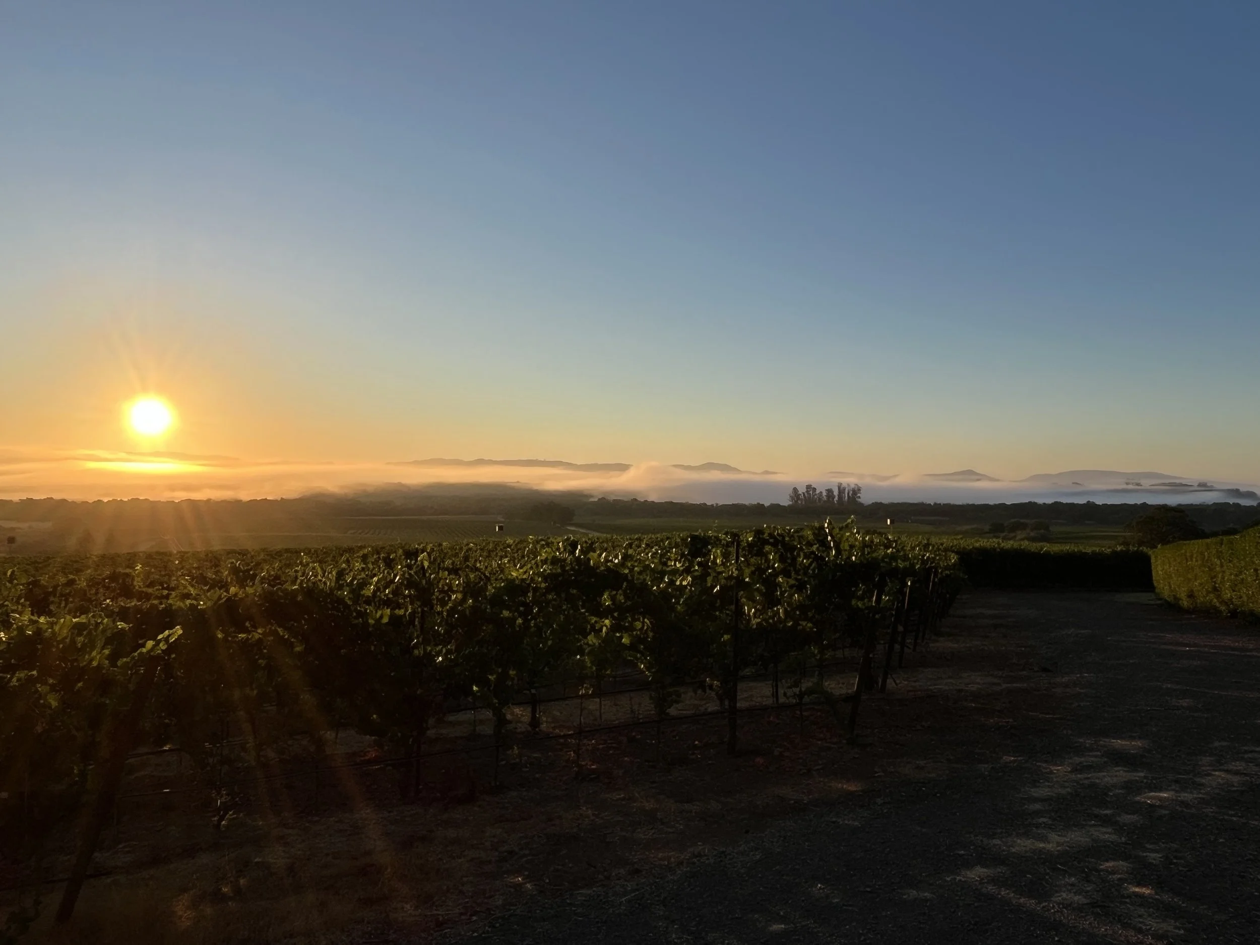 "This beginning has been quietly forming..."