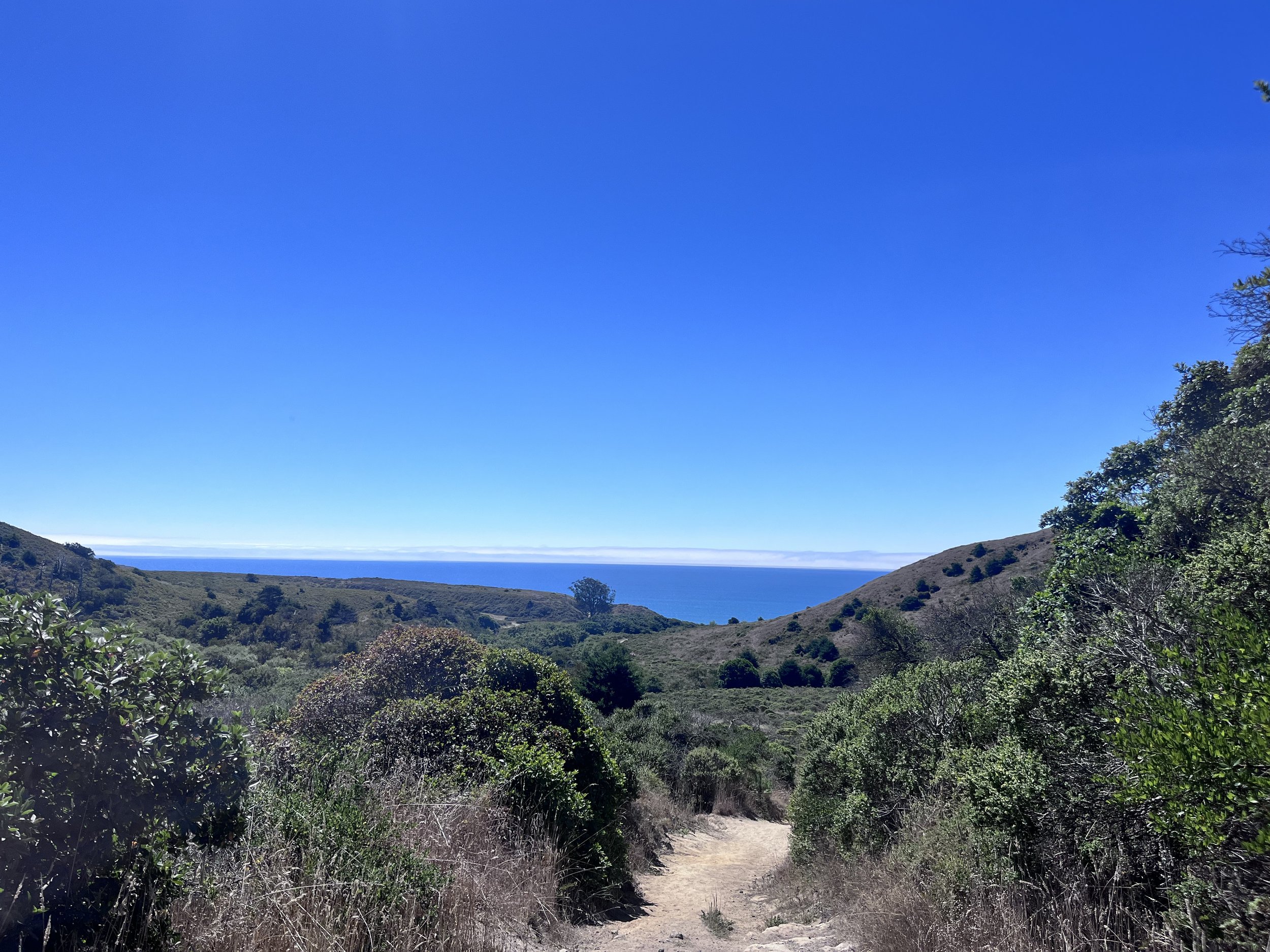 "What makes something better is connection." ~ Brene Brown