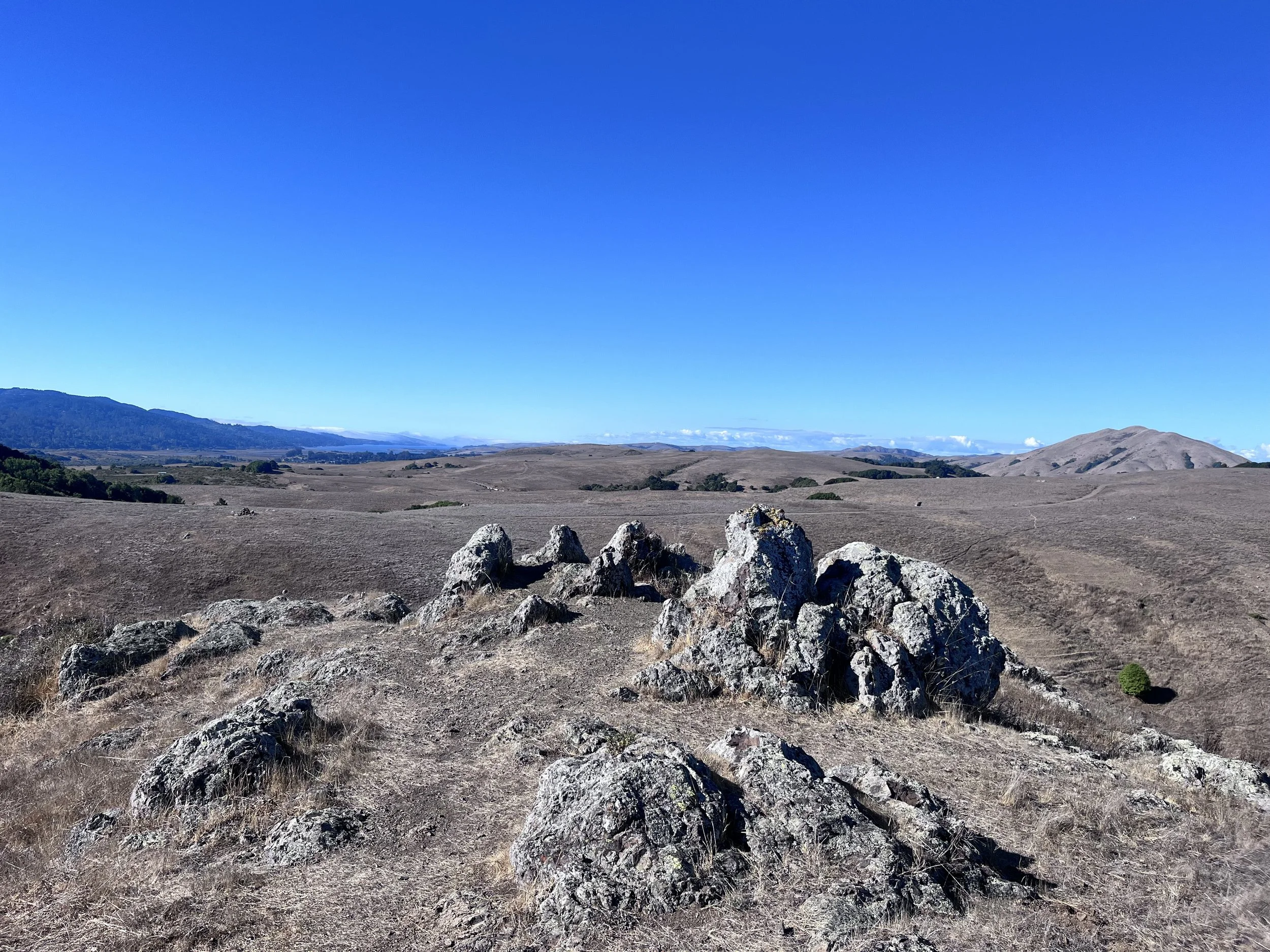 "Pick your team with care, invest once you do." ~ Seth Godin