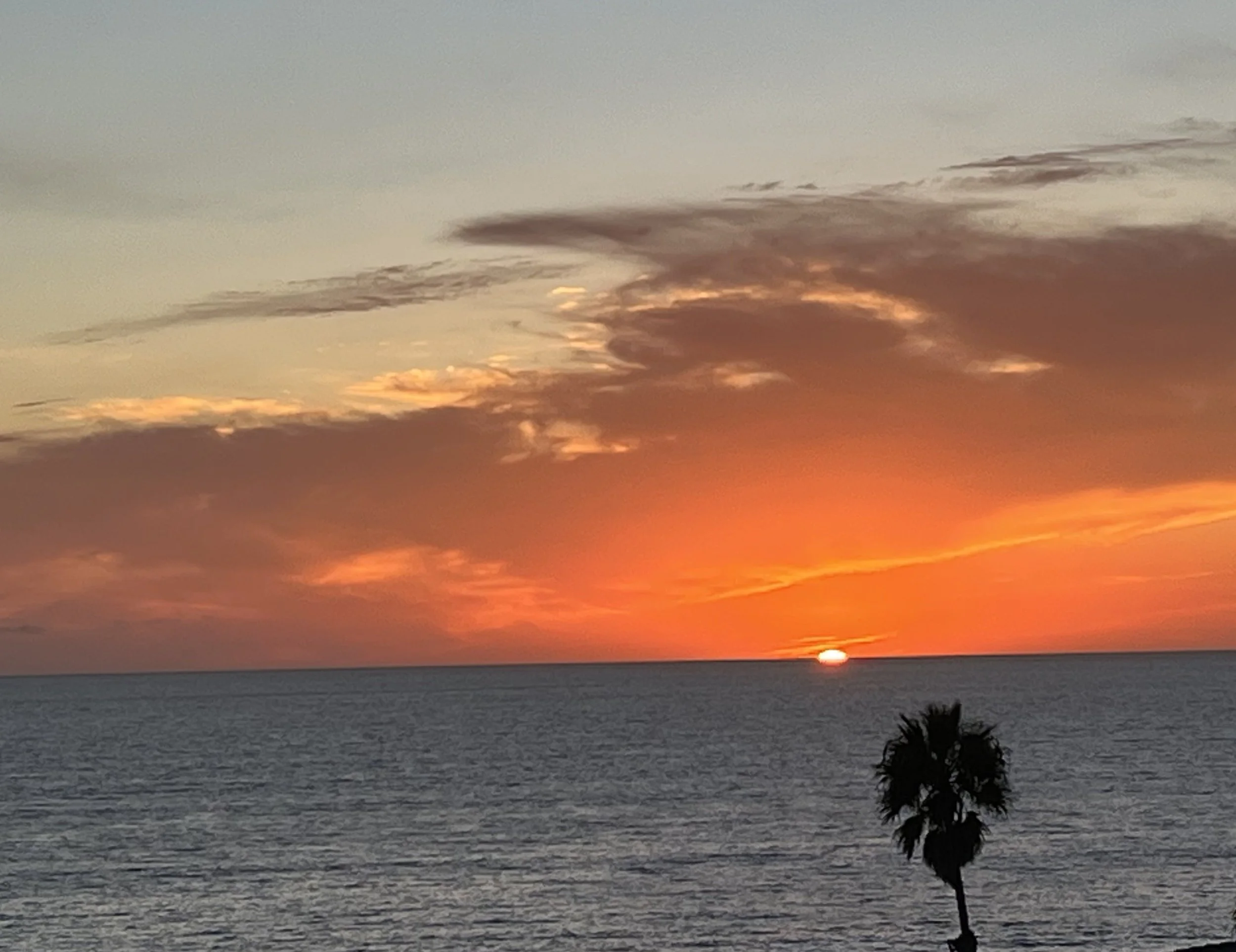 "Muse of listeners, hope of interpreters, inspire us to act." ~ Kathleen Norris