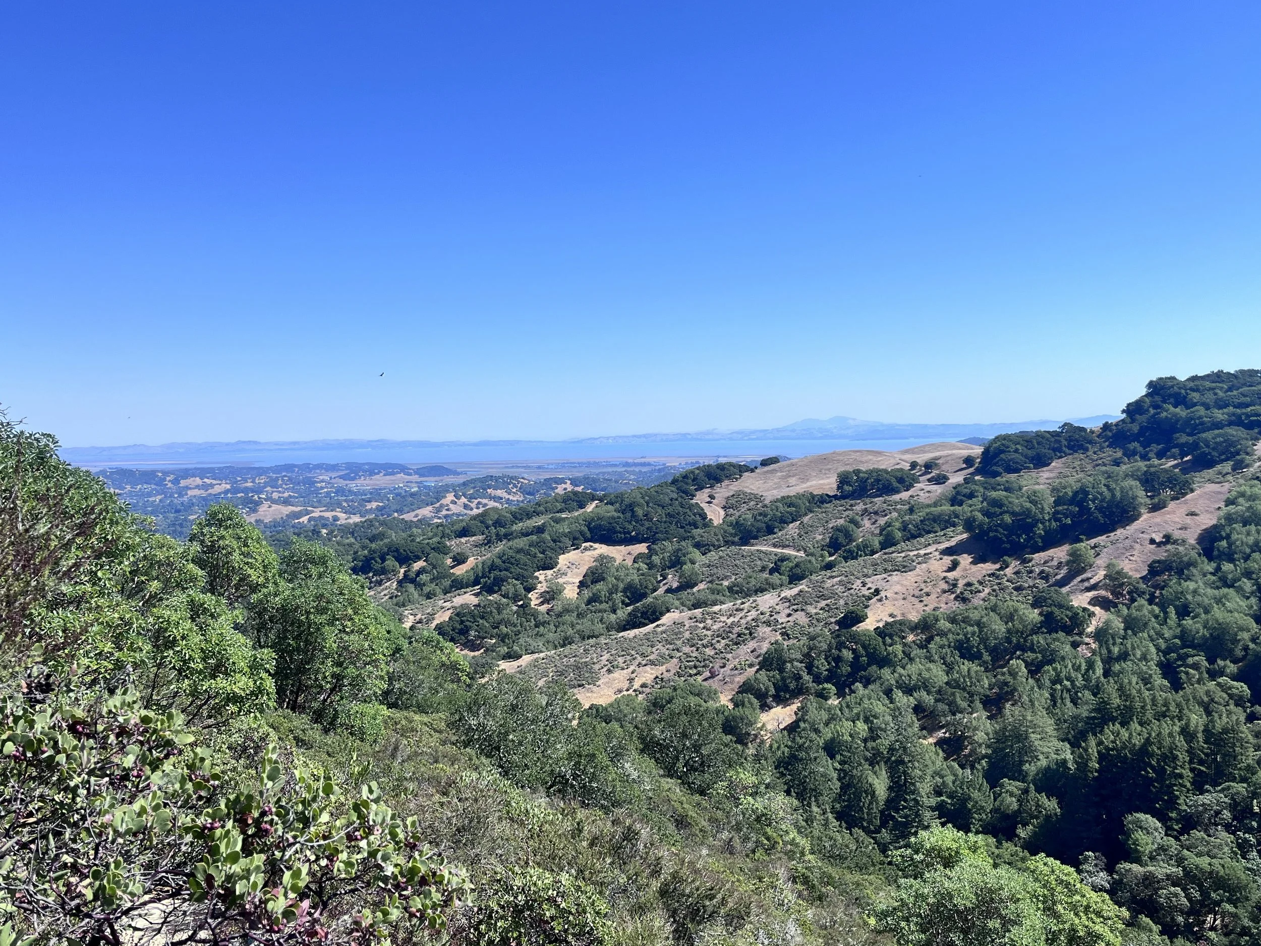 “Appreciation is a wonderful thing. It makes what is excellent in others belong to us as well.” ~ Voltaire.