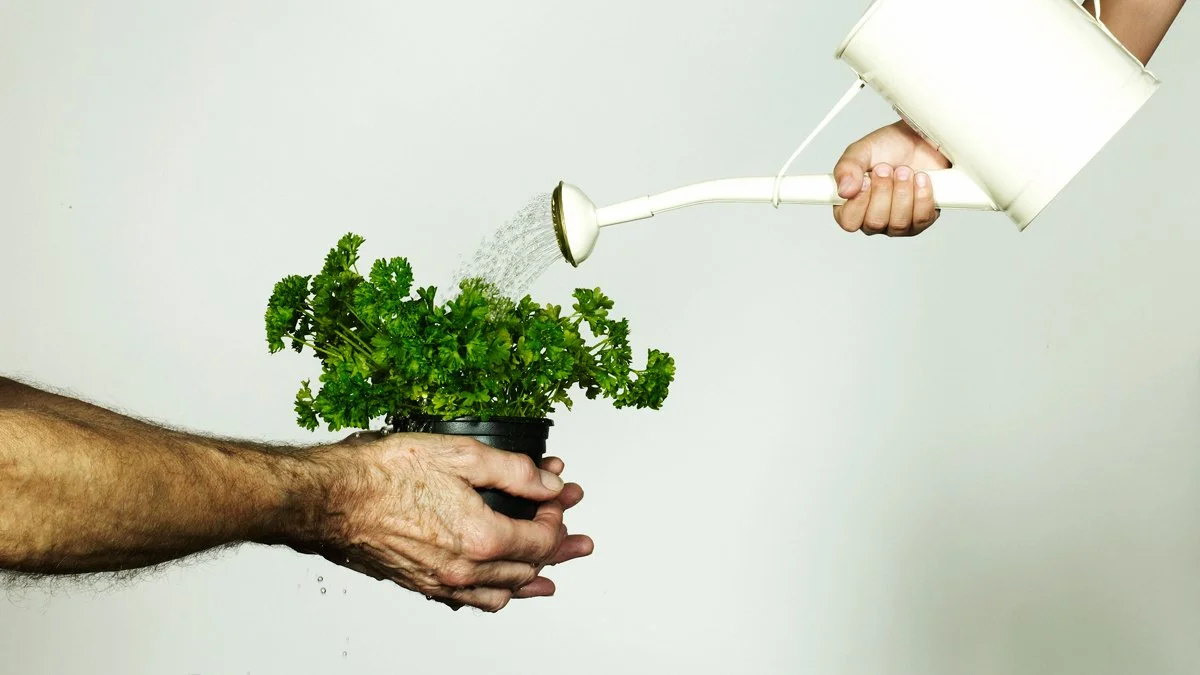 Harvard Business Review: How to Give Tough Feedback That Helps People Grow