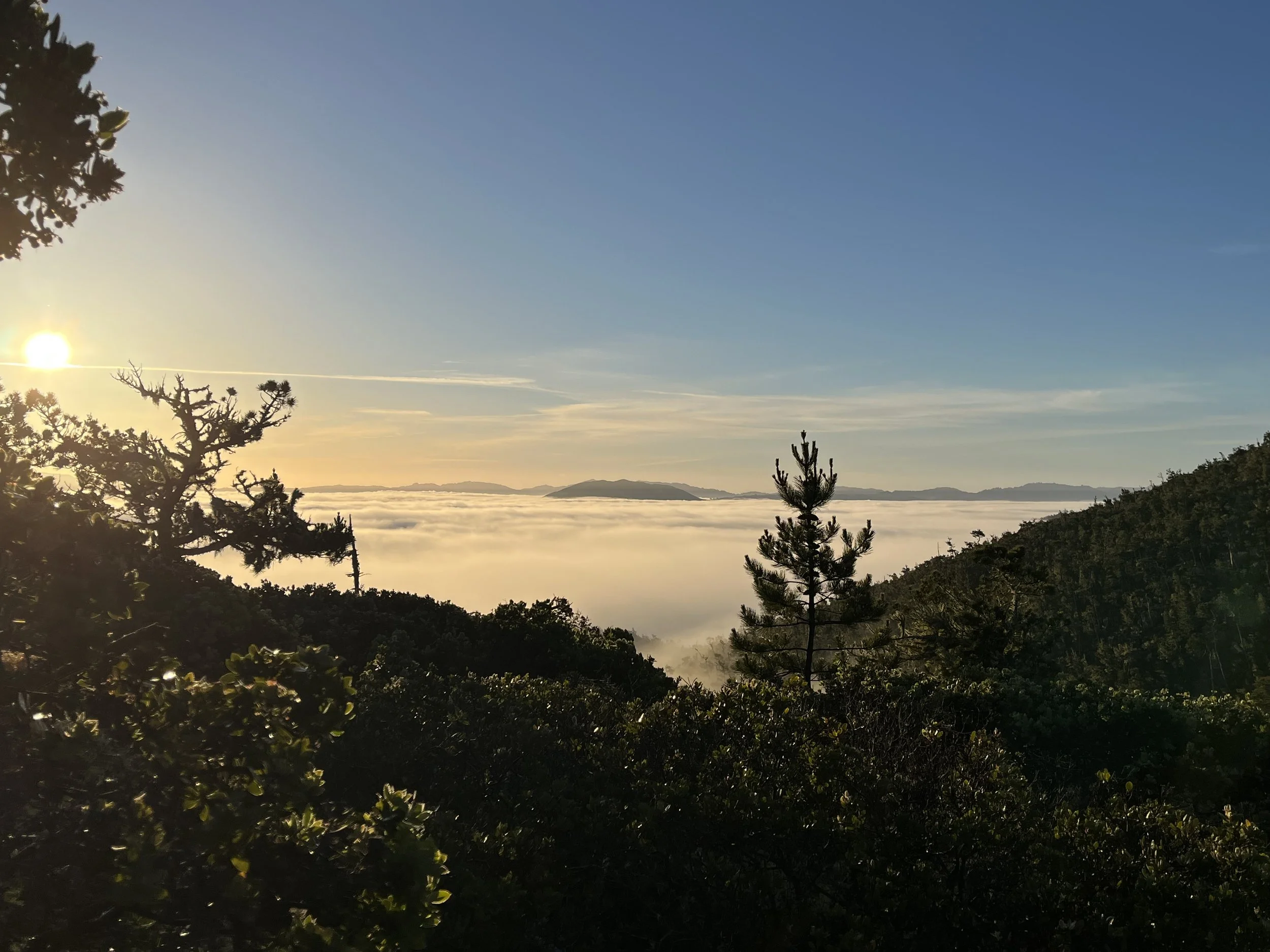 “The greatest obstacle to discovery is not ignorance - it is the illusion of knowledge.”  ~ Daniel J Boorstin