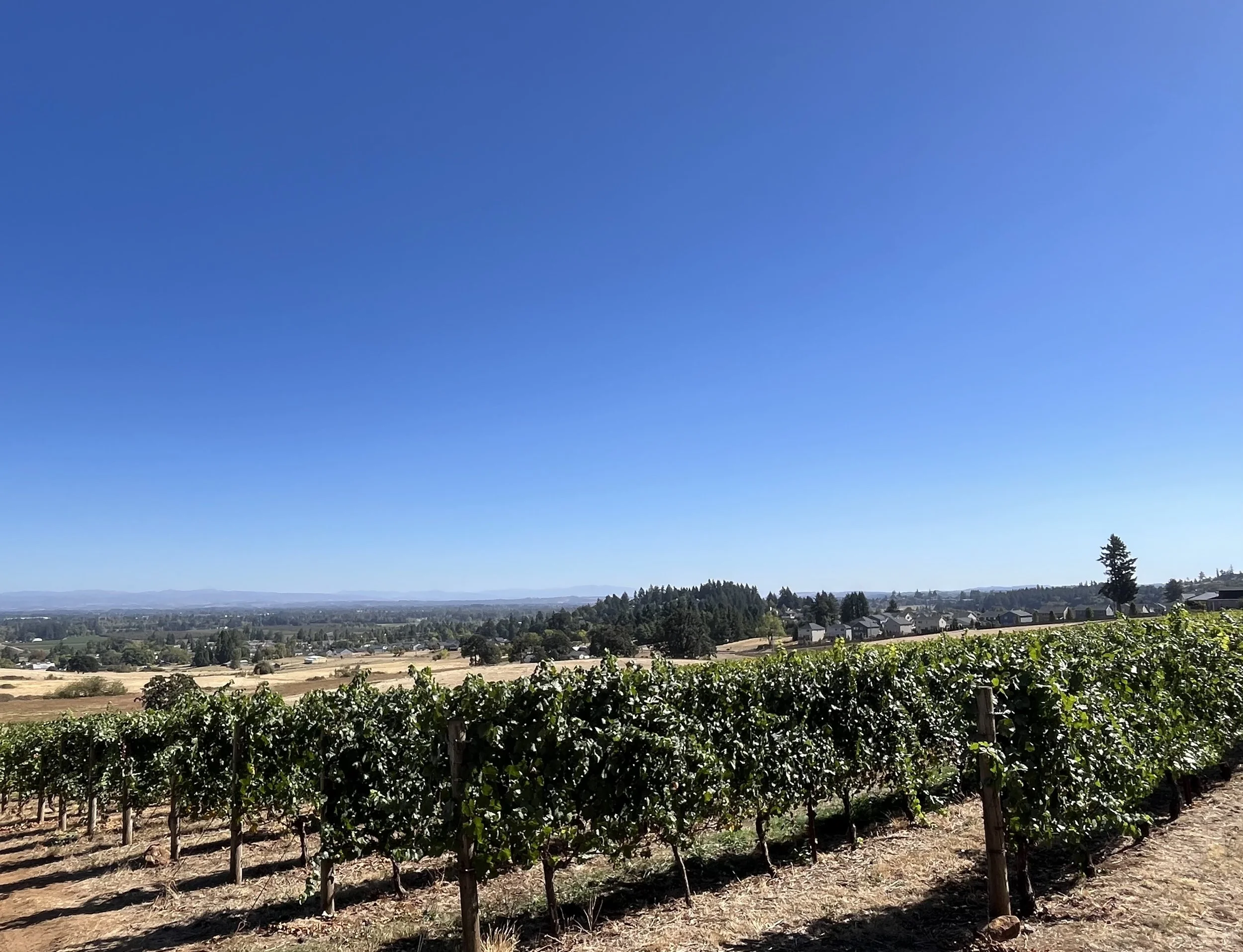 "To me, it was always to climb up the hill. Not standing at the top." ~ Robert Redford