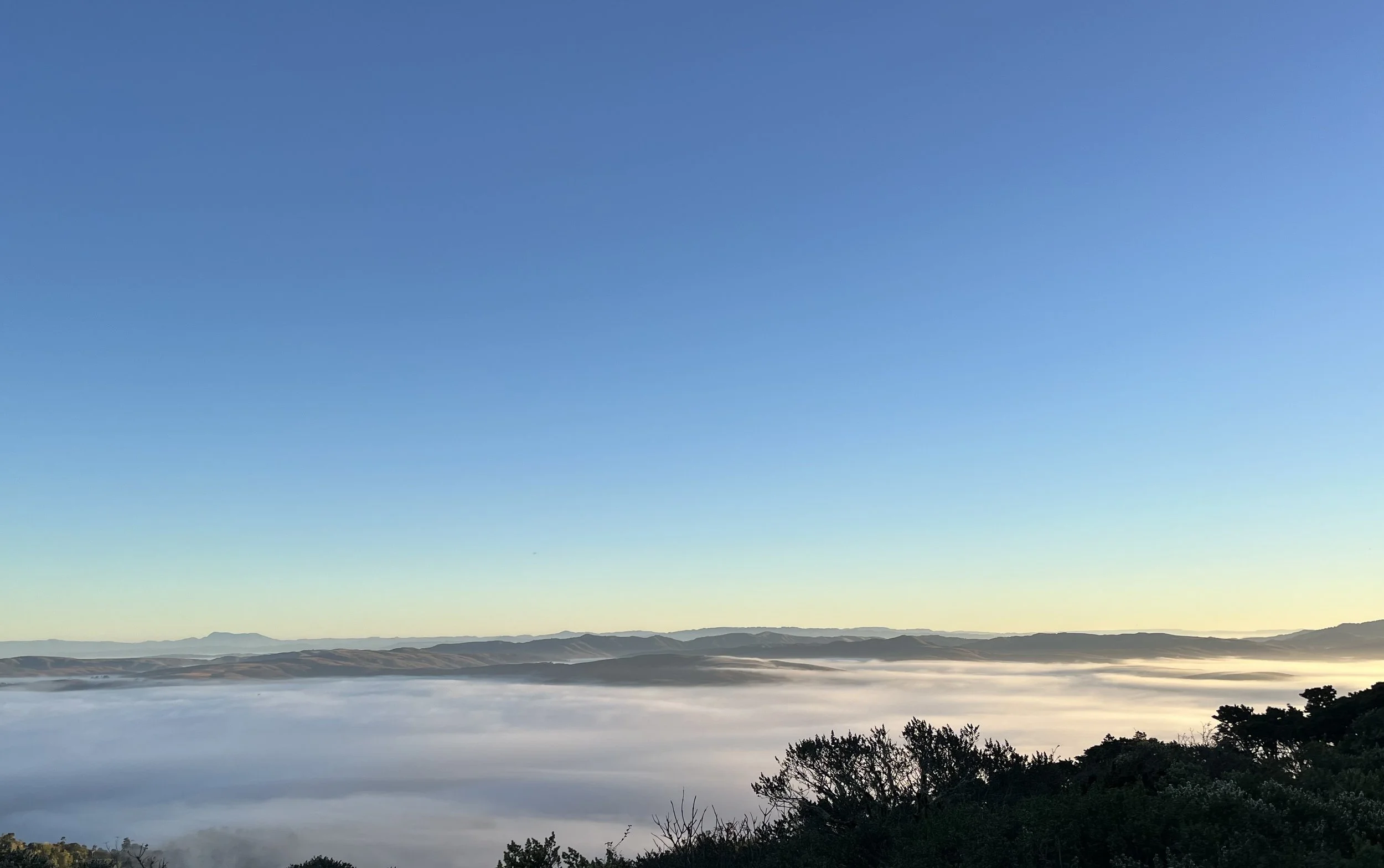 "You see things; and you say 'Why?' But I dream things that never were; and I say 'Why not?'" ~ George Bernard Shaw