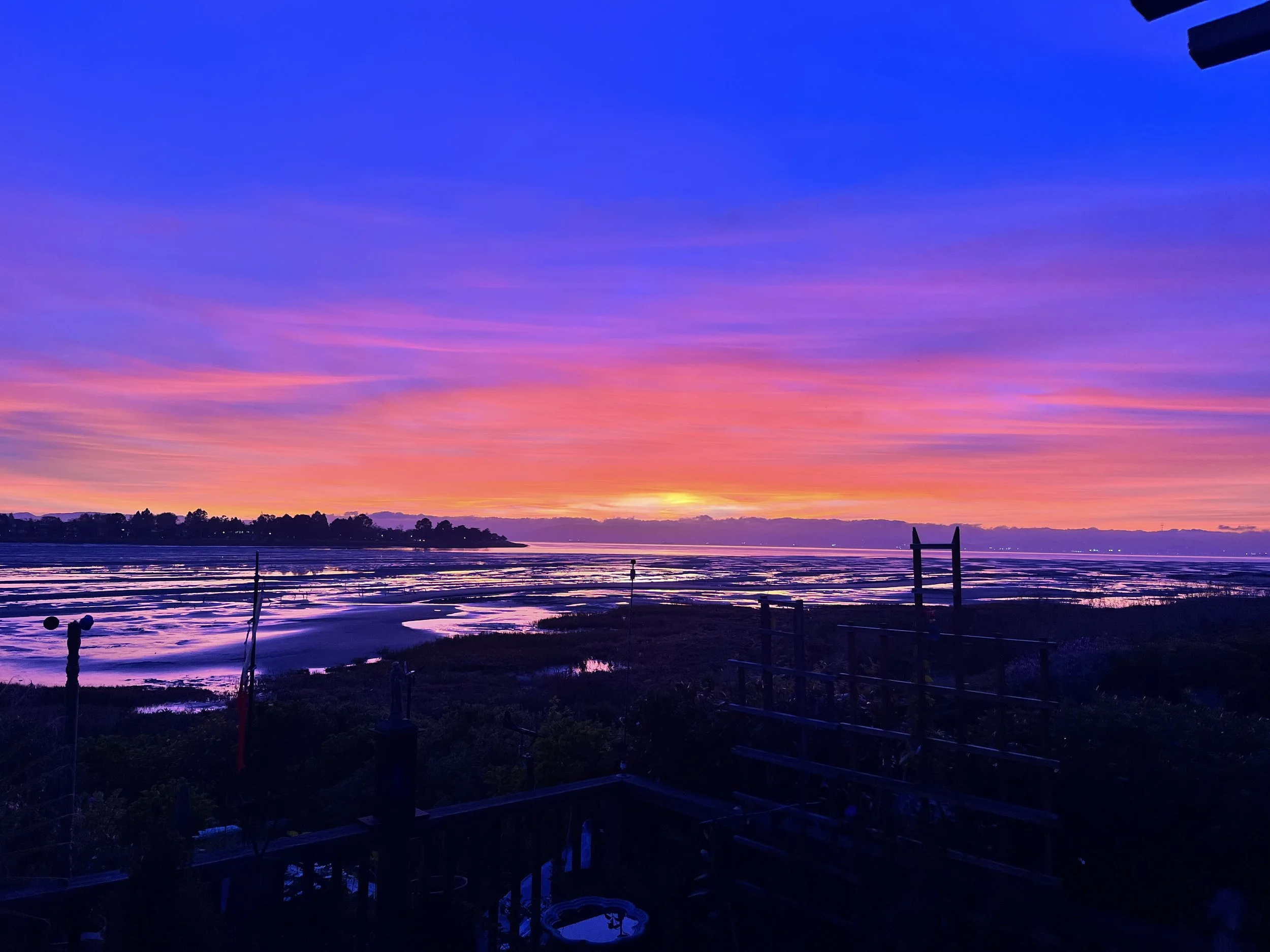 "I am rooted, but I flow." ~ Virgina Woolf