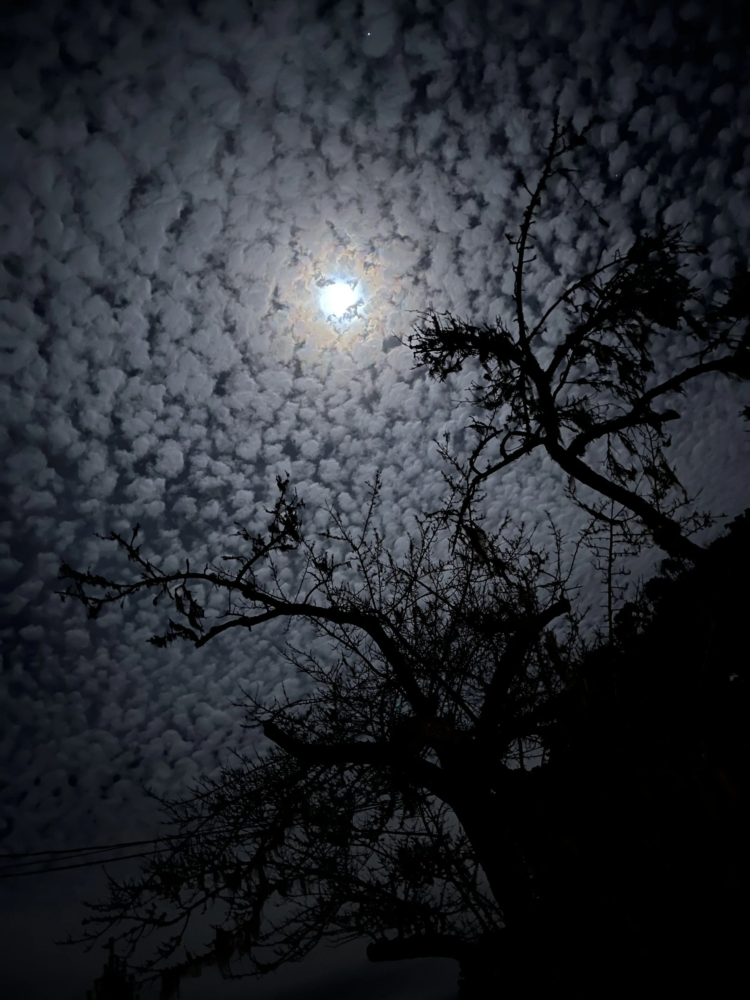 “The purpose of human life is to serve, and to show compassion and the will to help others.” ~ Albert Schweitzer