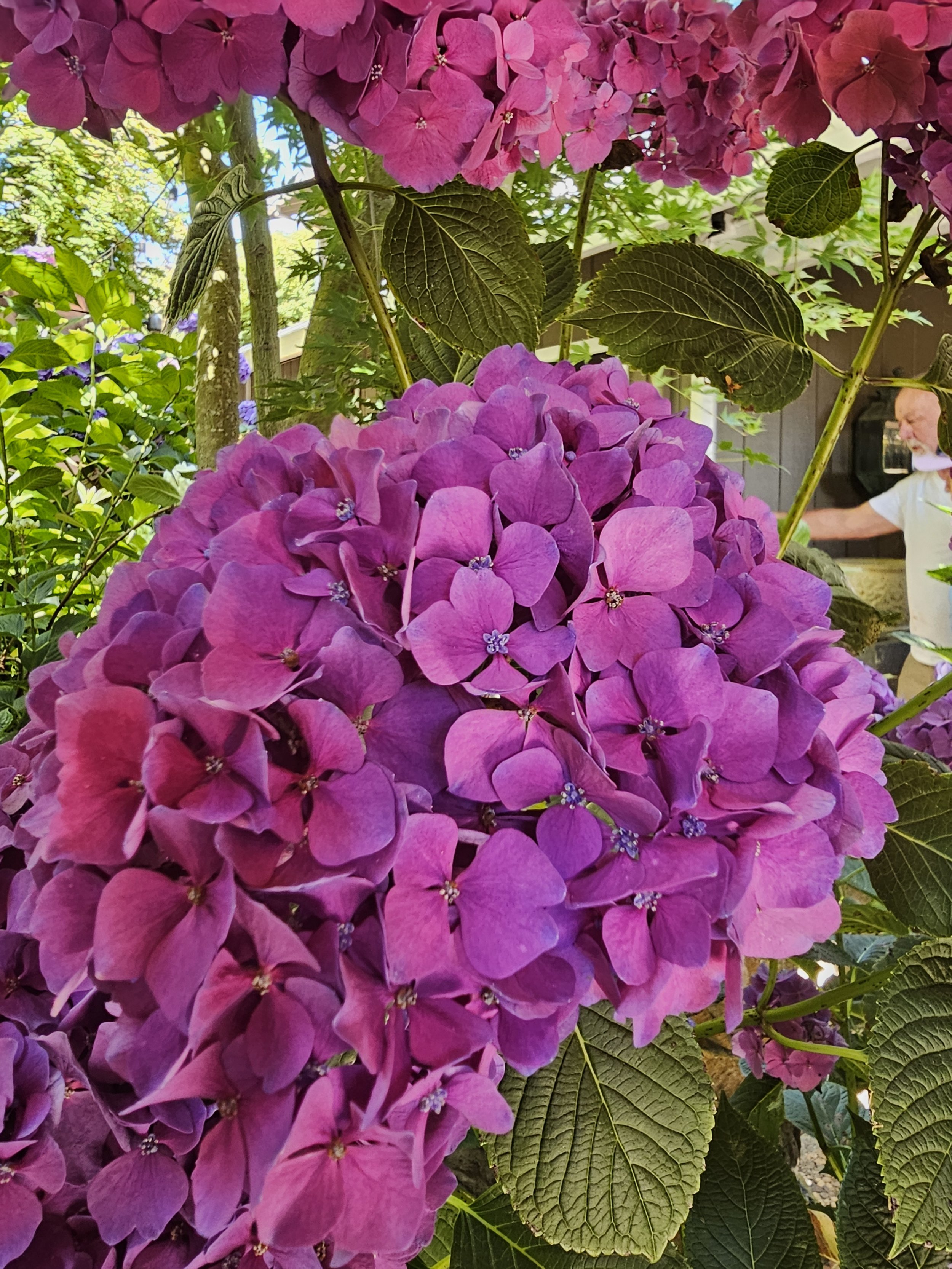 20250709_105832.jpg