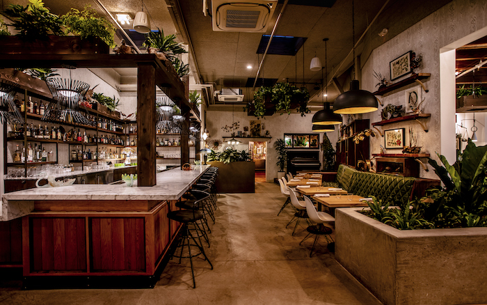 Fern Bar 1.jpg