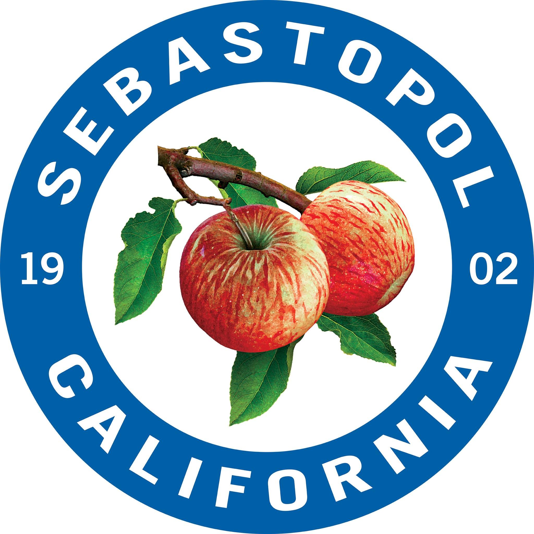 City of Sebastopol Website (Copy)