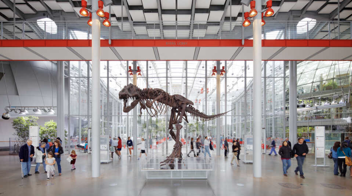 Day Trip ~ California Academy of Sciences