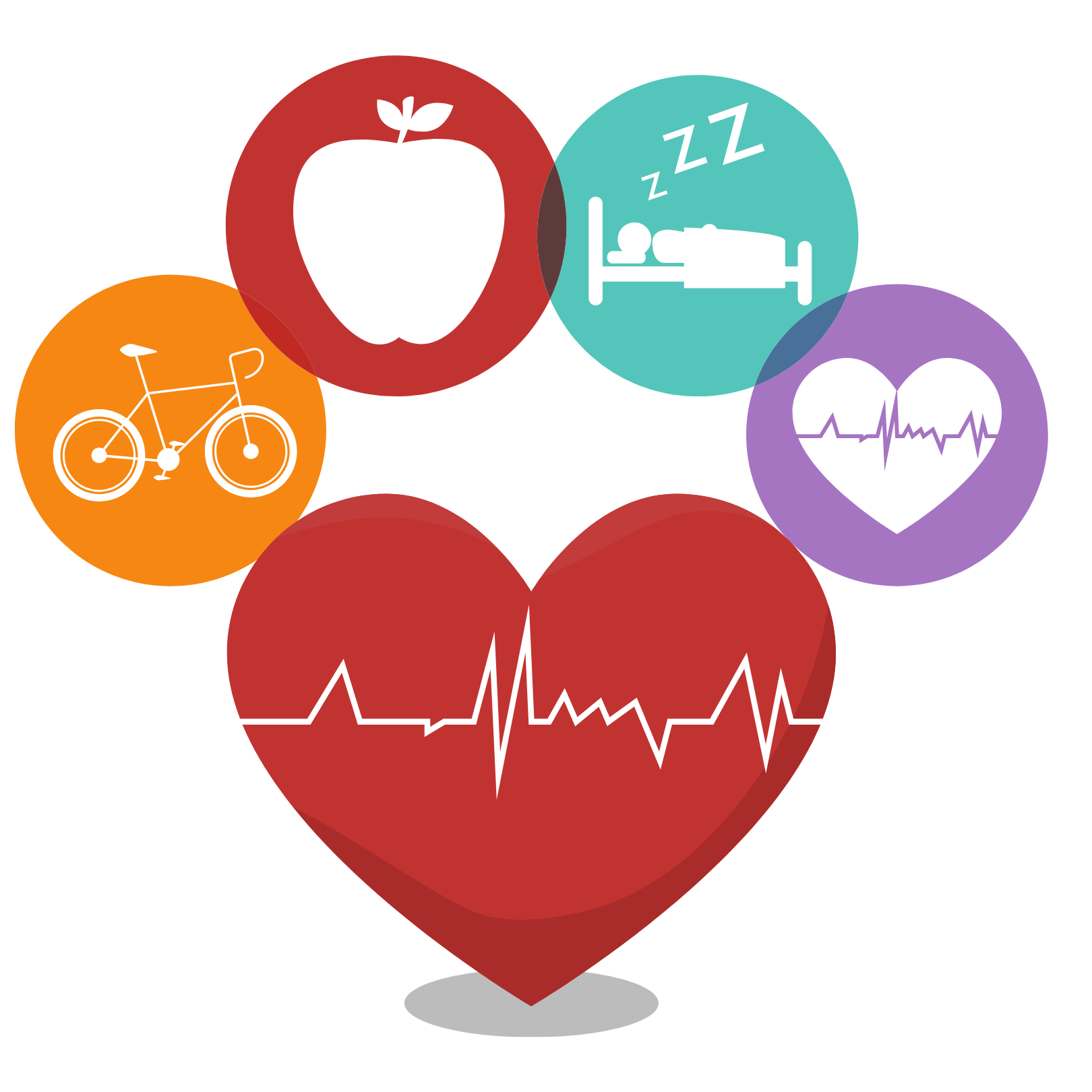 Hallmarks of Healthy and Aging