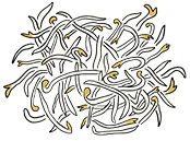 Sprouts_Web.jpg