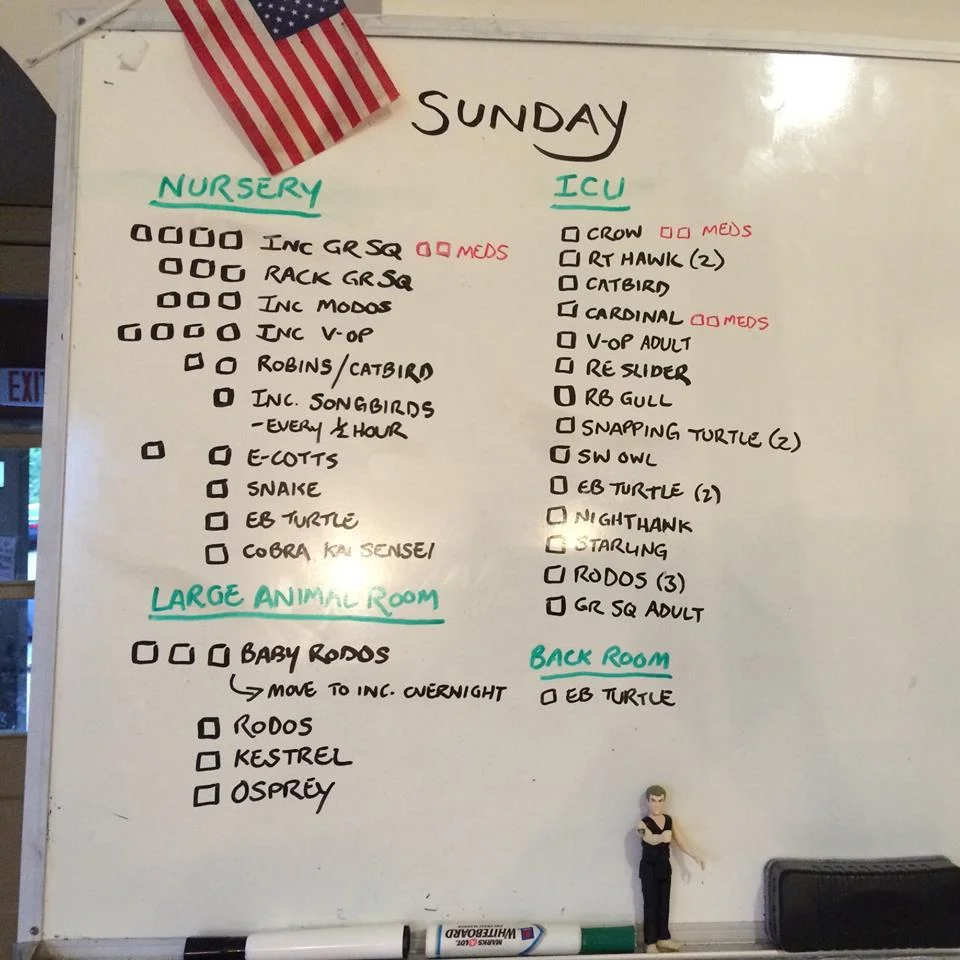 Busy day!