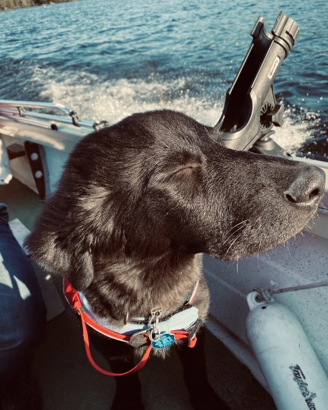 First motorboat trip. He&rsquo;s good luck, pike on the first cast!