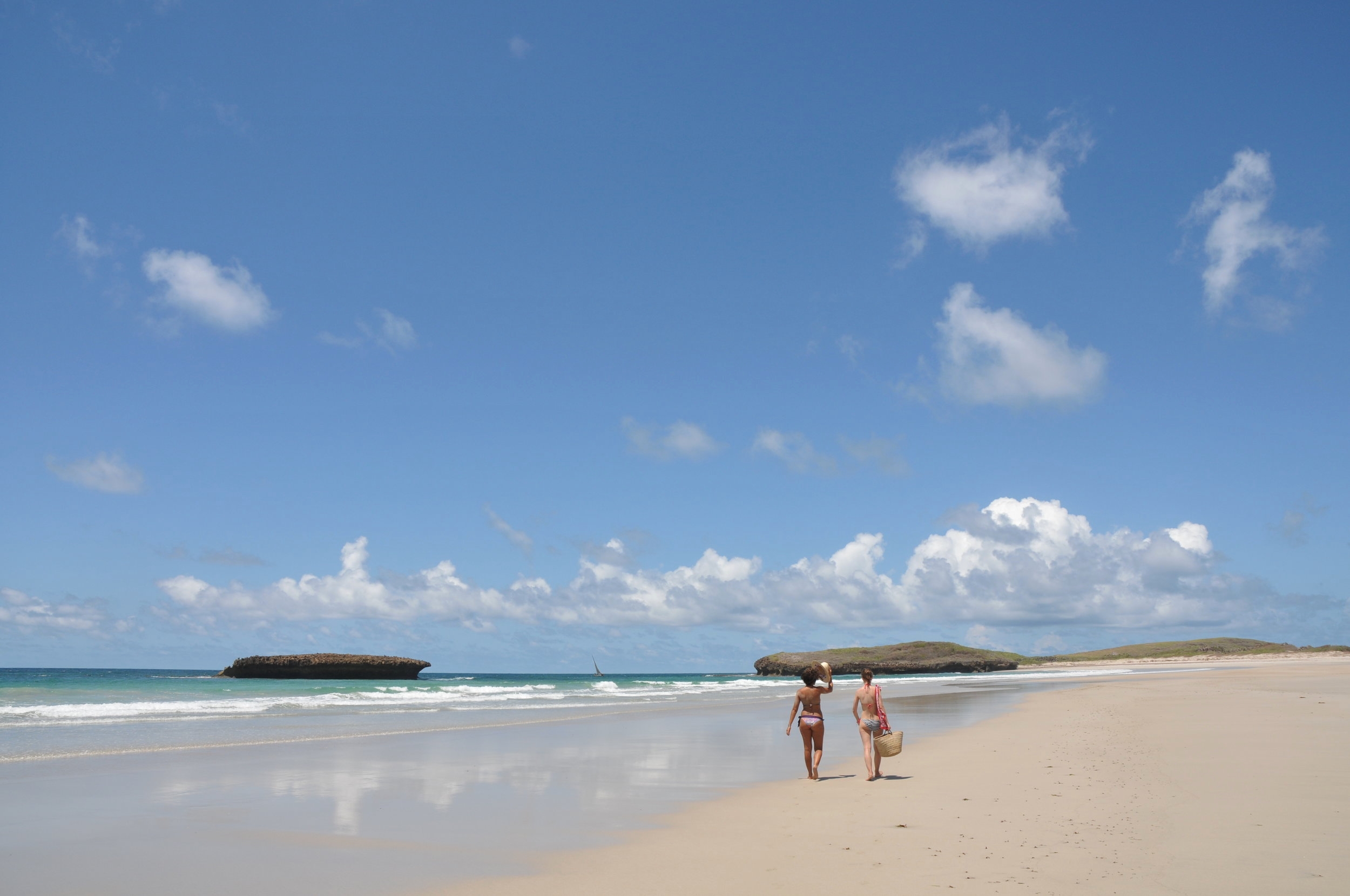 Kyu Walks DSC_5319.JPG