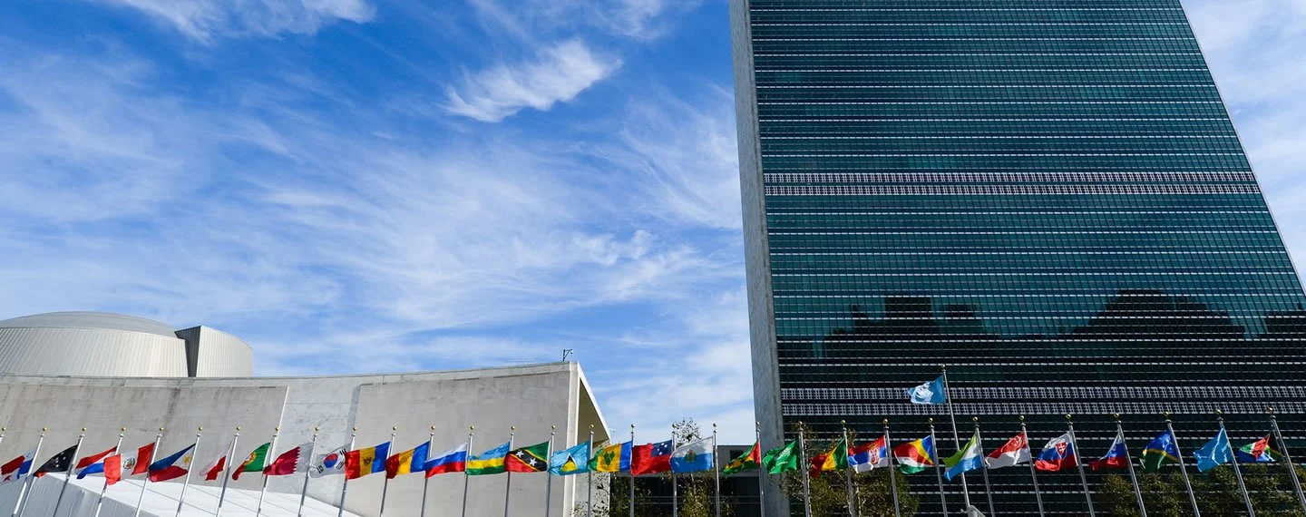 IDLARC UN Creative Commons.jpg