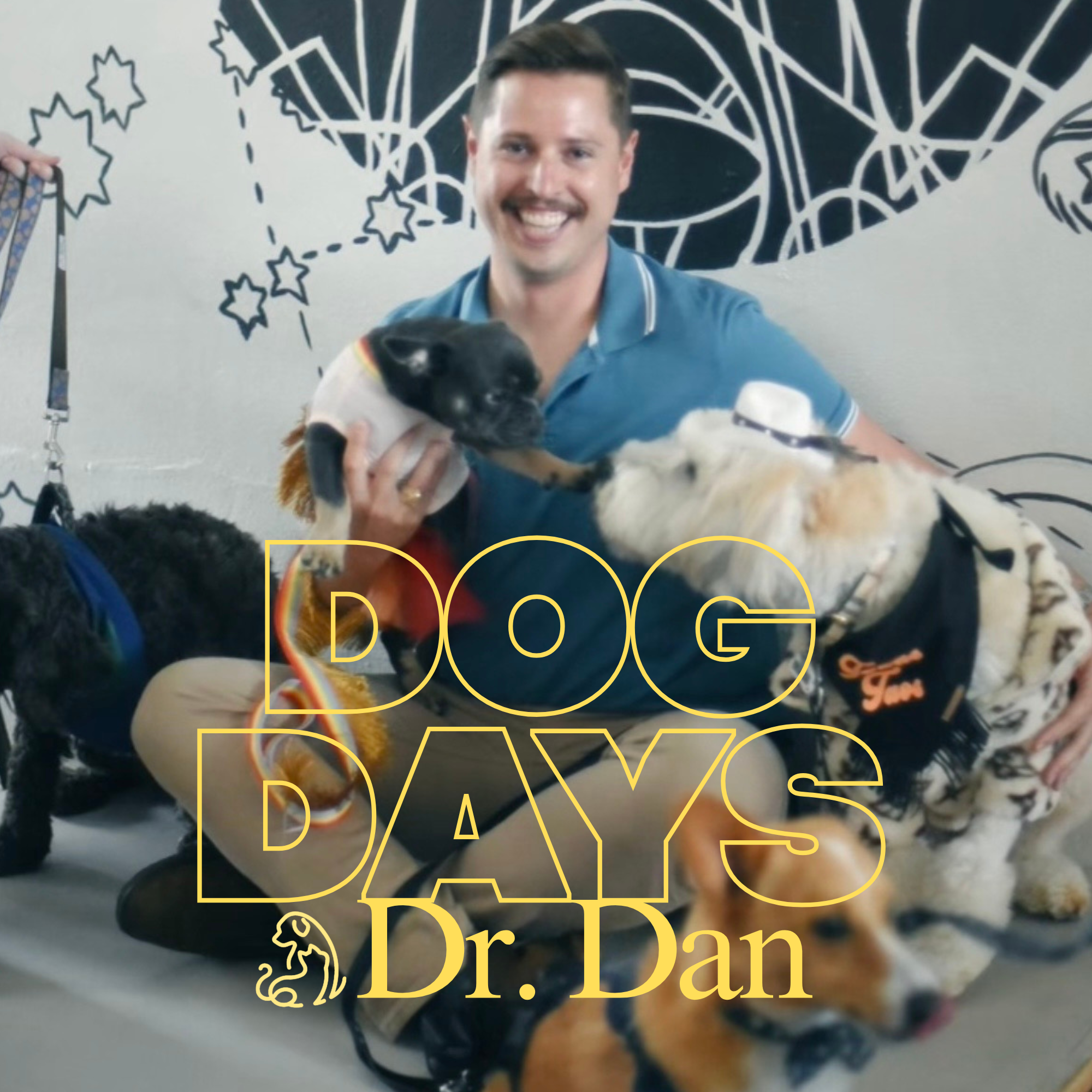 Dog Days w/ Dr. Dan: Monthly Pop-Up Vaccine Clinic 