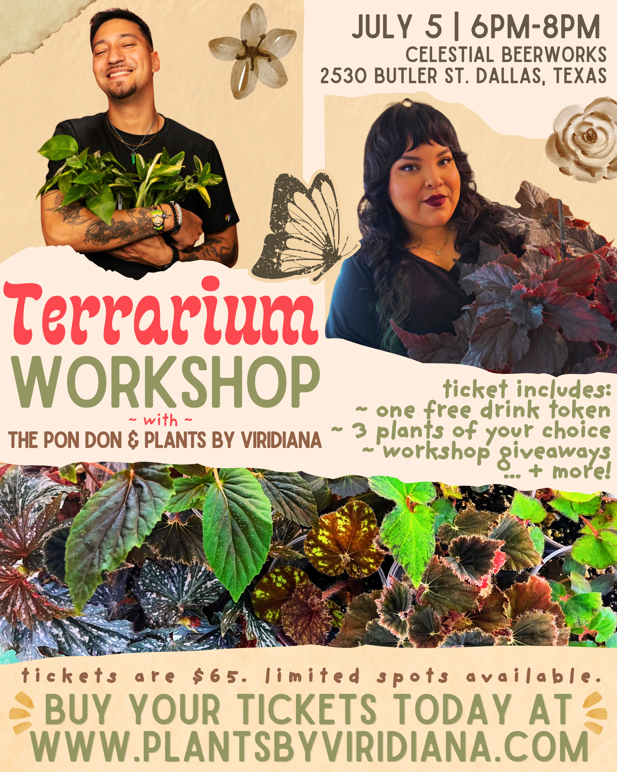 Terrarium Workshop