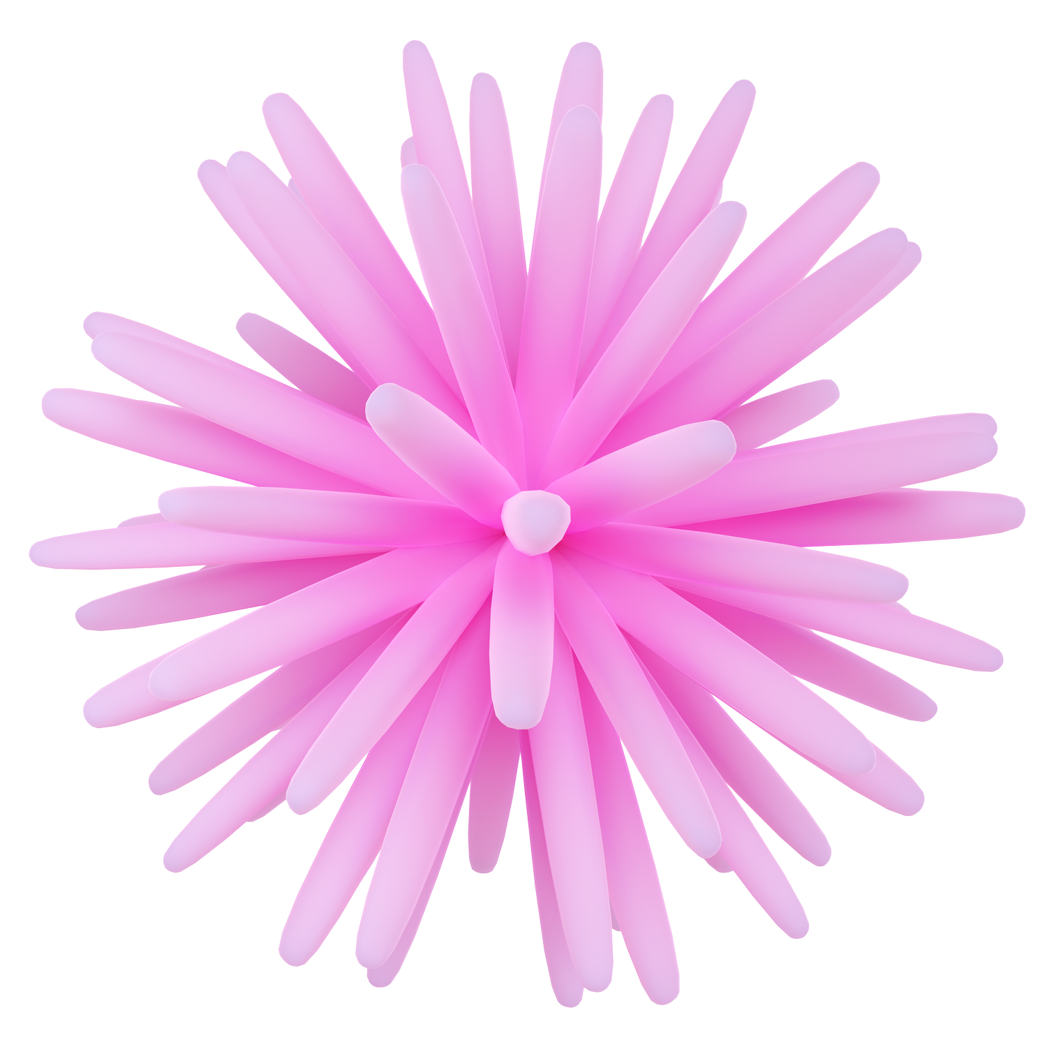 taproom-celestial-beerworks