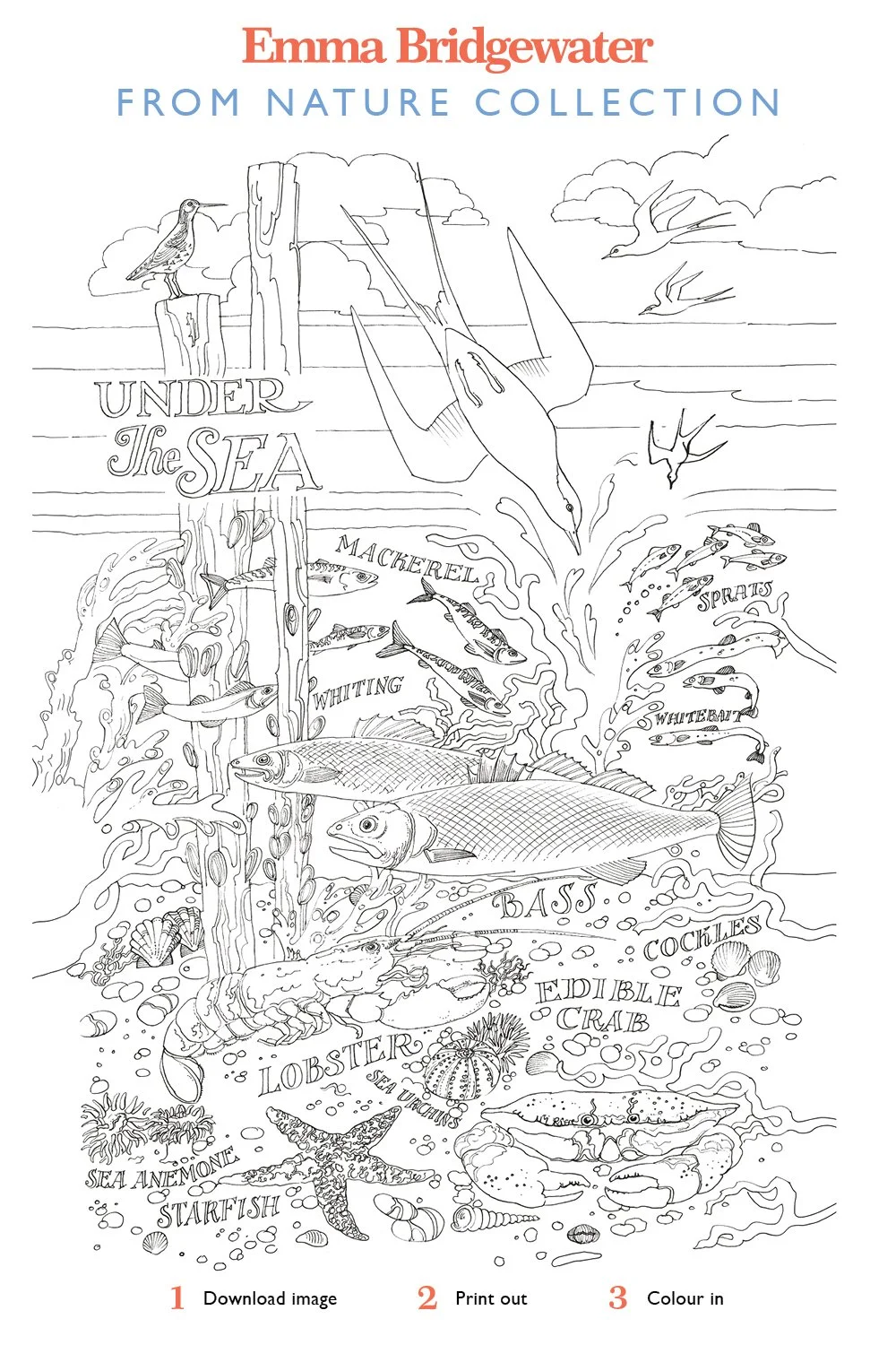 Pinterest 1500x1000 Colour In From Under The Sea v2.jpg