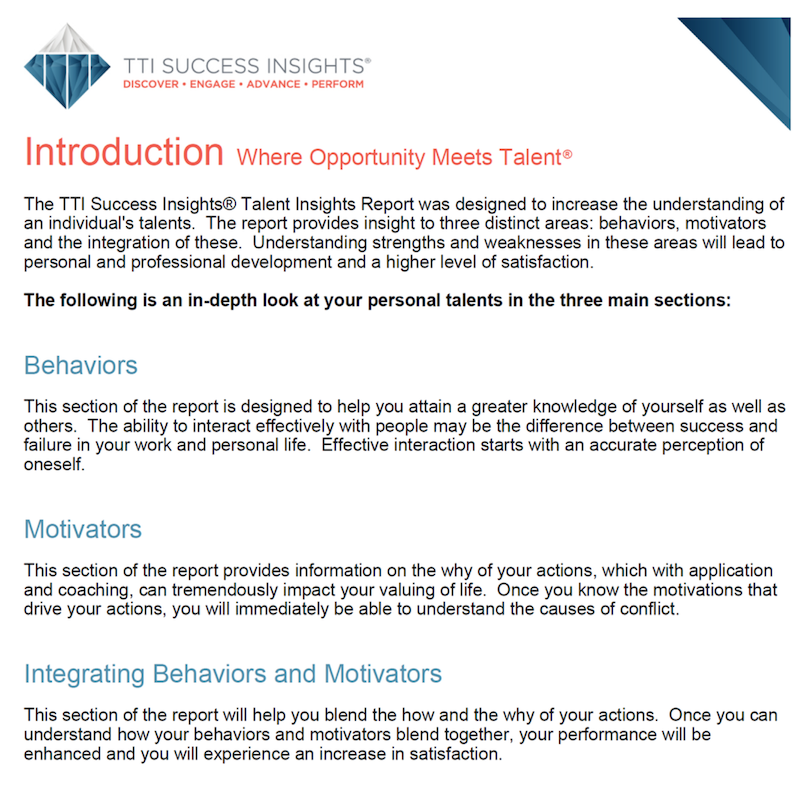 DISC-Talent-insights-behaviours-motivators-combination-Sample.png