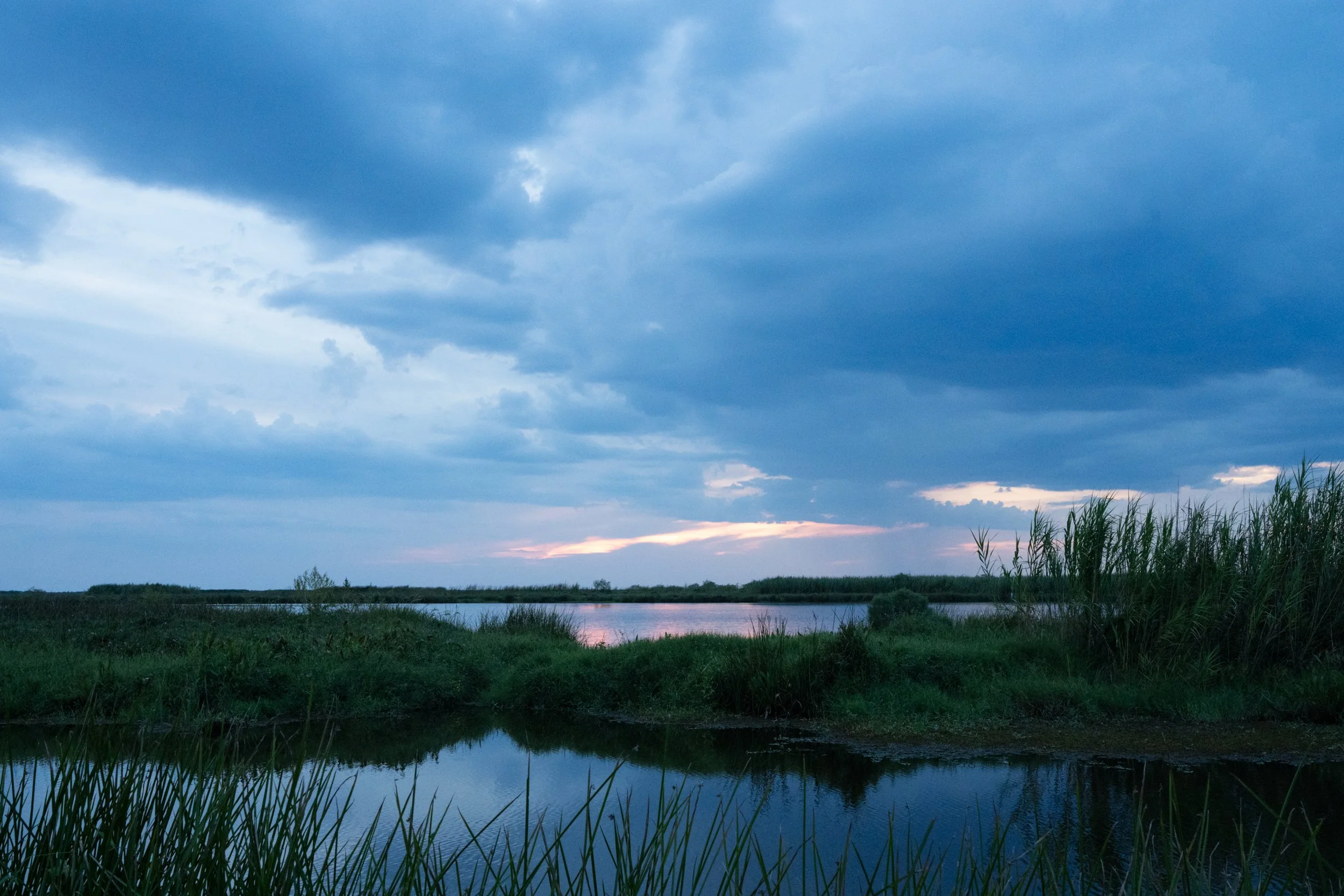 Big_Branch_Bayou_Lacombe_1709-print-LR.jpg