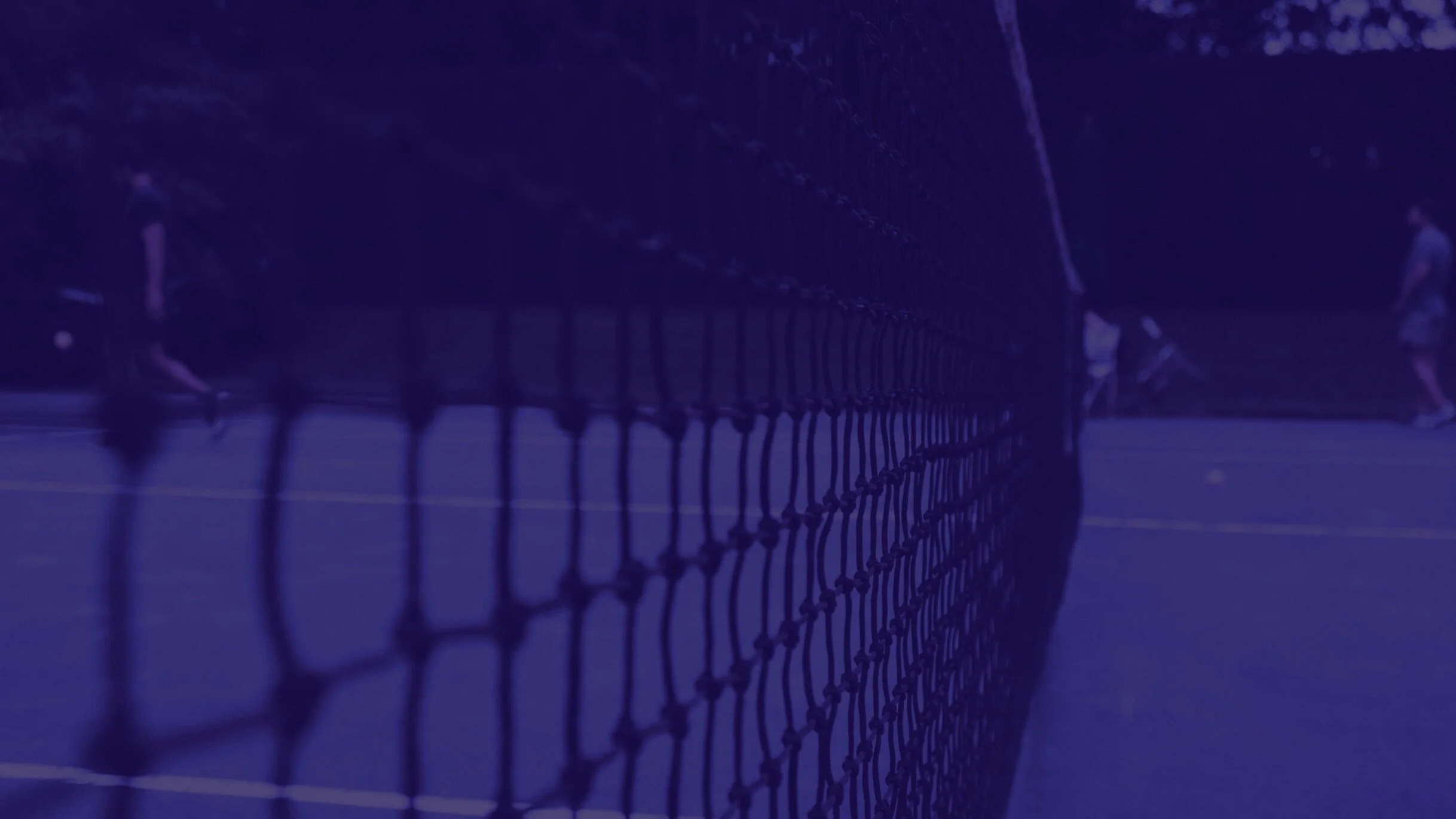 header.jpg
