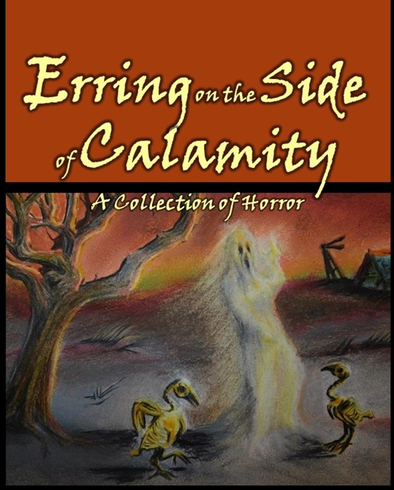 Front cover Erring on the Side of Calamity.jpg