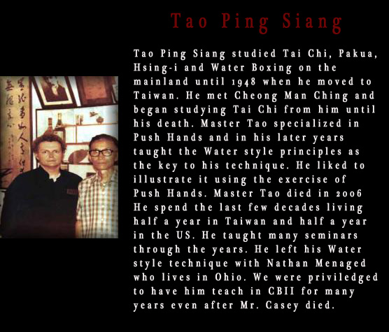 Christopher Casey and Tao Ping Siang