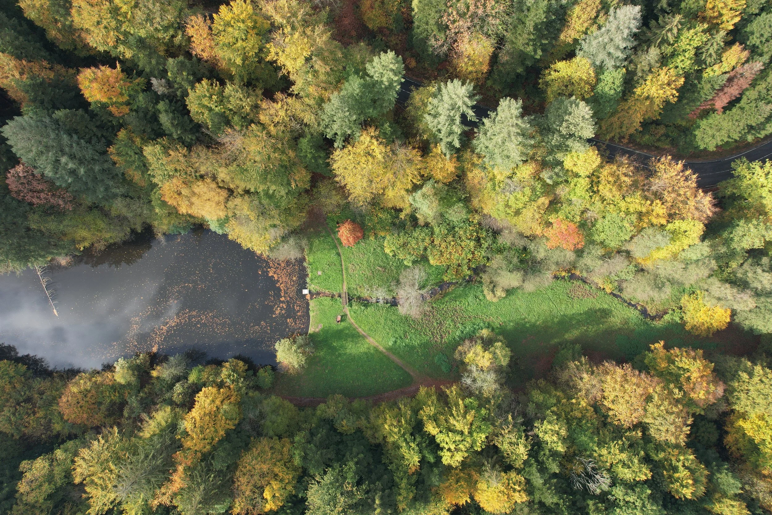 DJI_0129.JPG