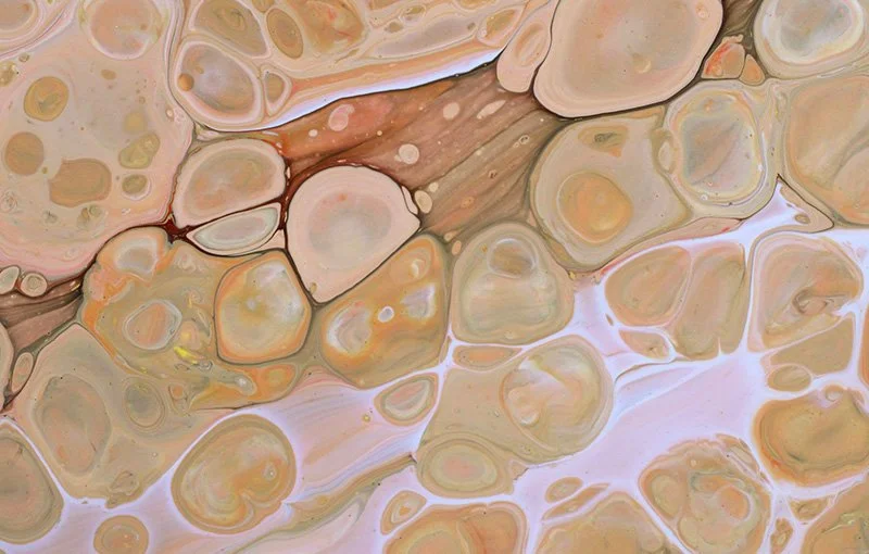 regenerative medicine photo representing the bodys natural ability to repair renew restore function at cellular and energetic level