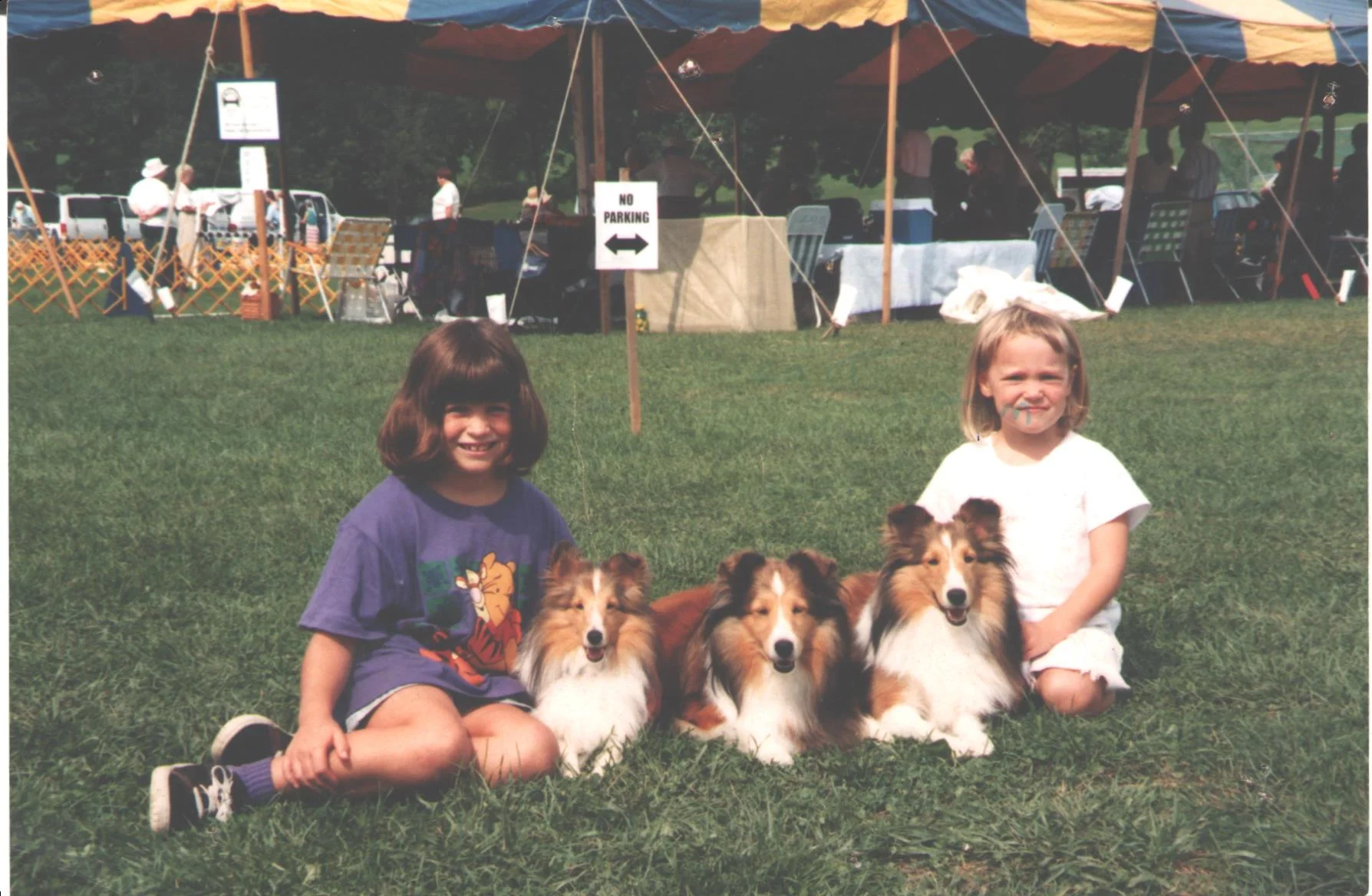 Top Dog Day Camp — our story