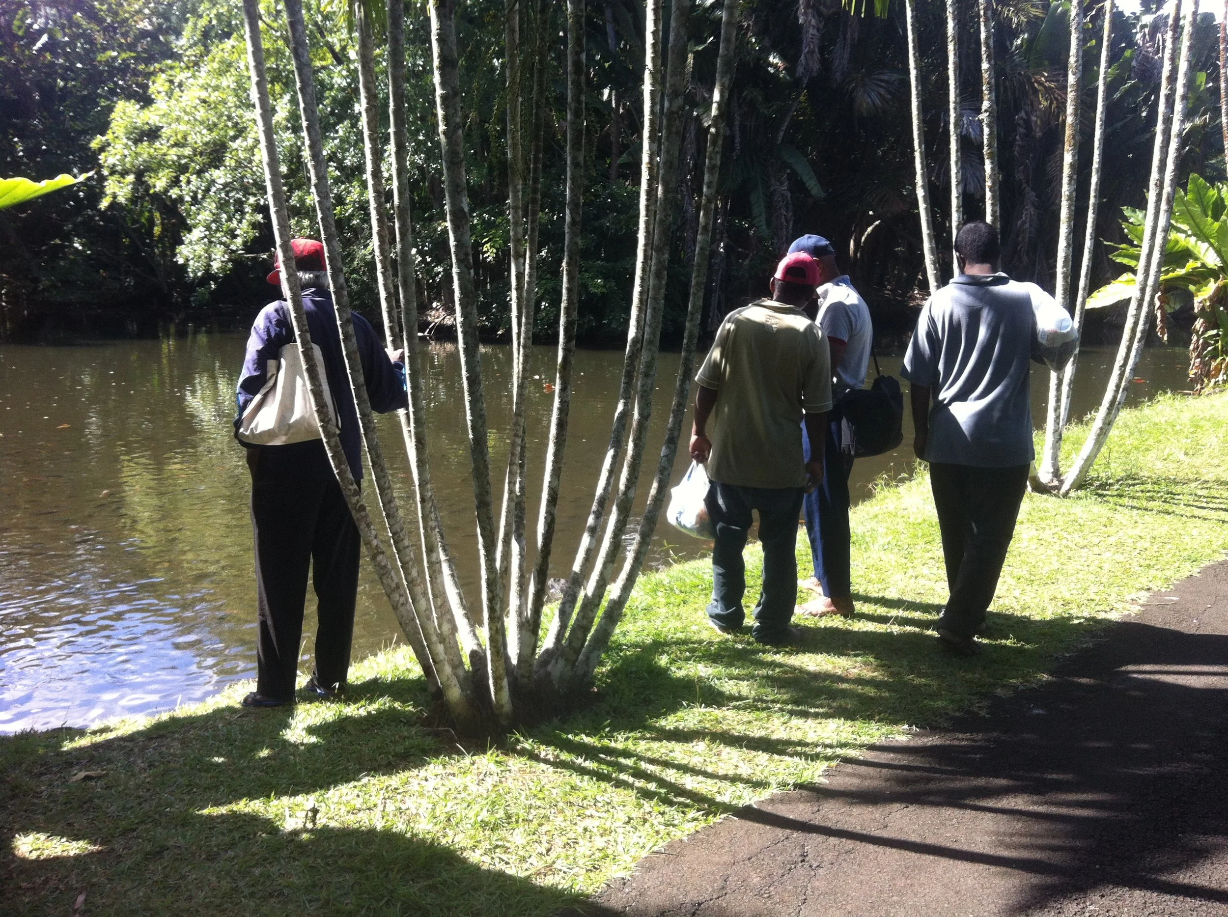 Recreational Gents at Pamplemousses Garden.JPG