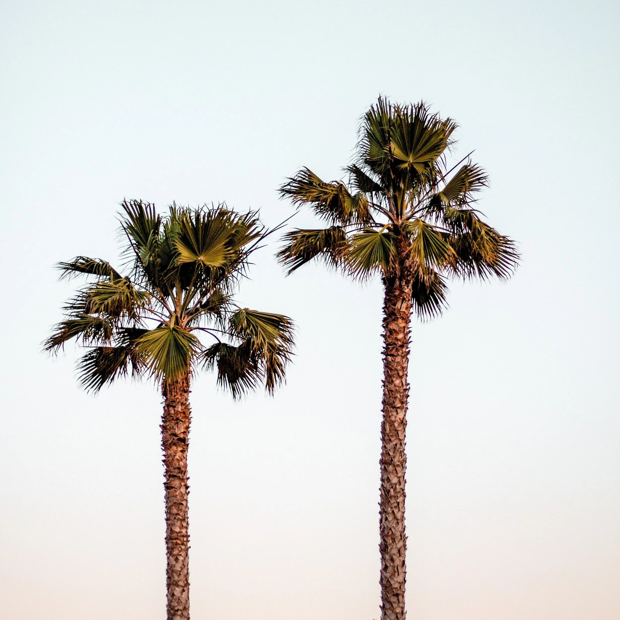 9 Killer Experiential Marketing Agencies in Los Angeles For Your Next Brand Activation