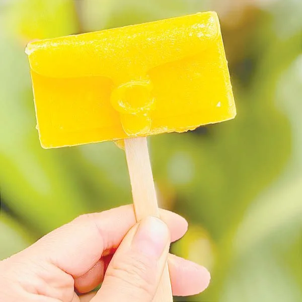 Customizable Popsicles Custom Popsicle Molds – Nationwide Shipping from Los Angeles — Beach ...