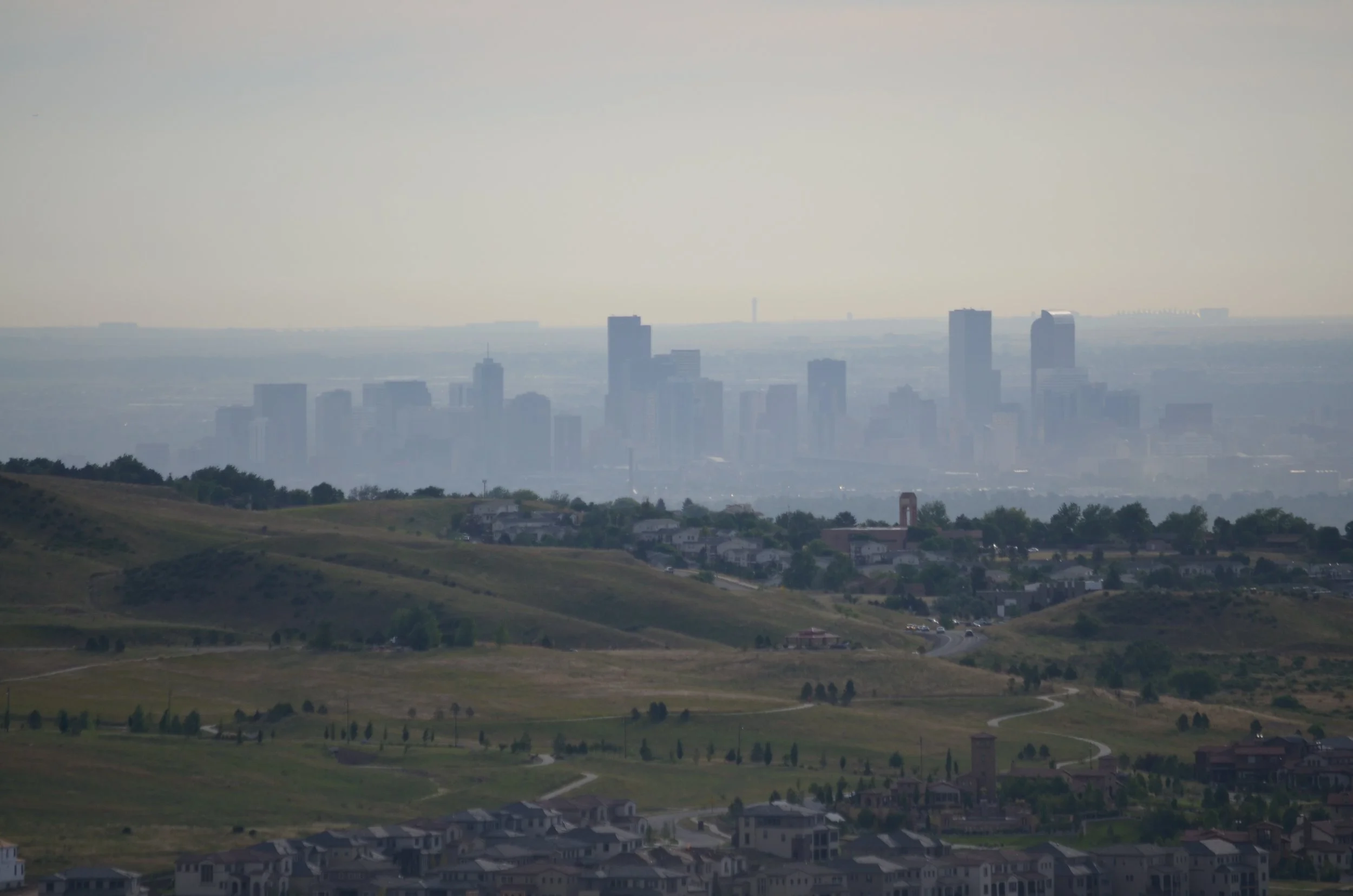 Denverwebsite.jpg