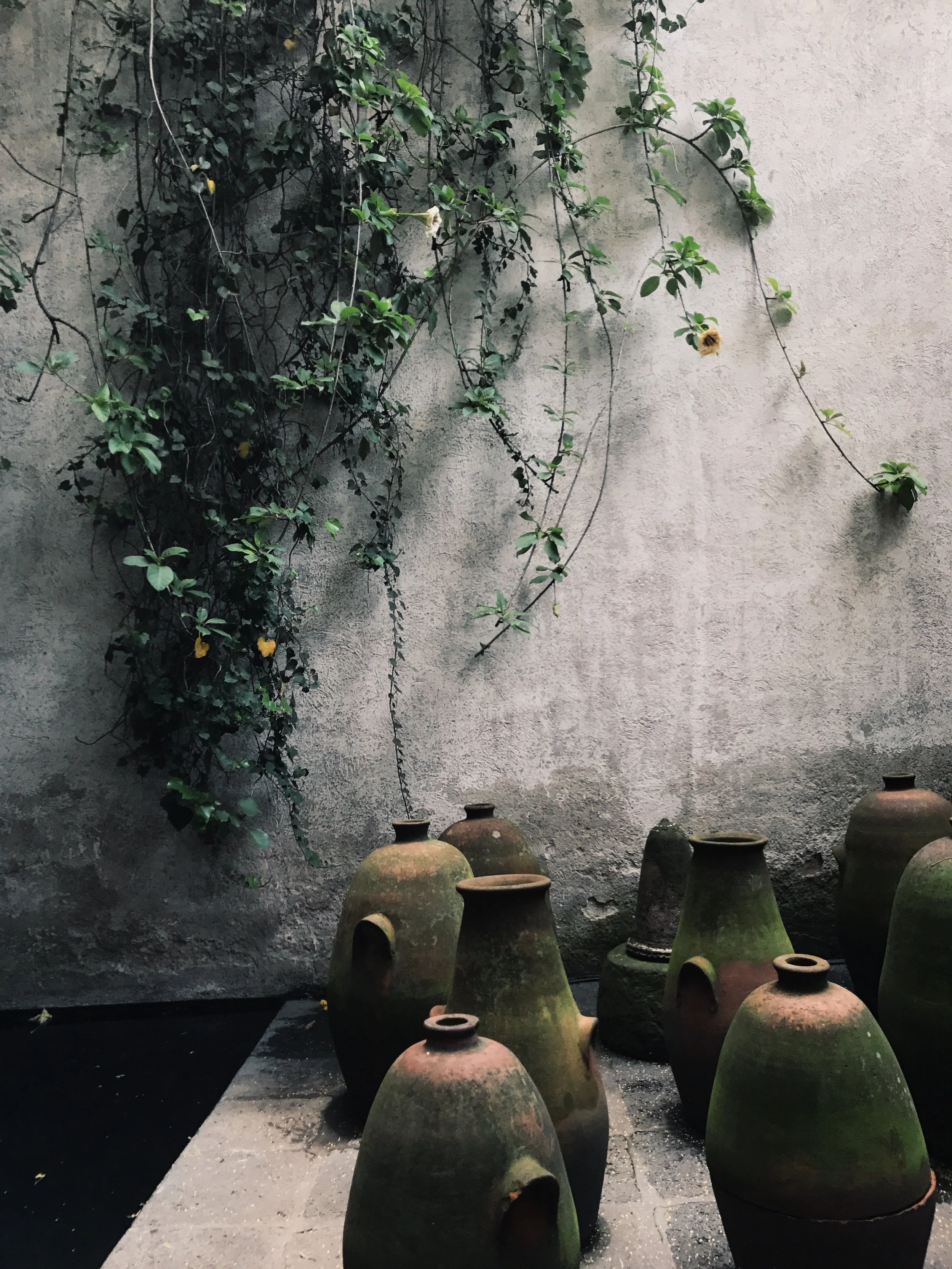  Casa Luis Barragan, Ciudad Mexico, Mexico, July 2017 