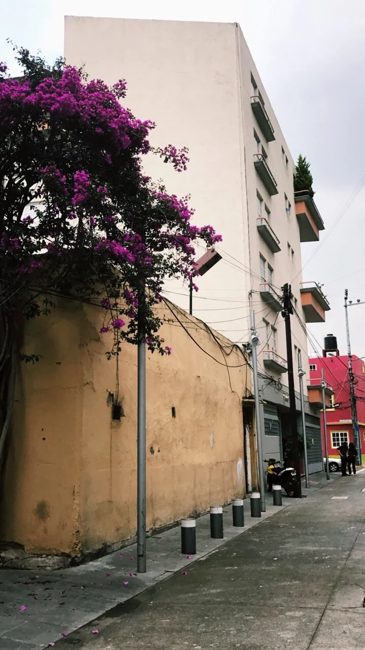  San Miguel Chapultepec, Ciudad Mexico, Mexico, July 2017 