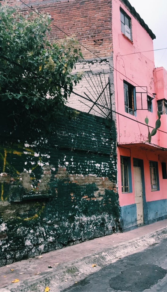  San Miguel Chapultepec, Ciudad Mexico, Mexico, July 2017 