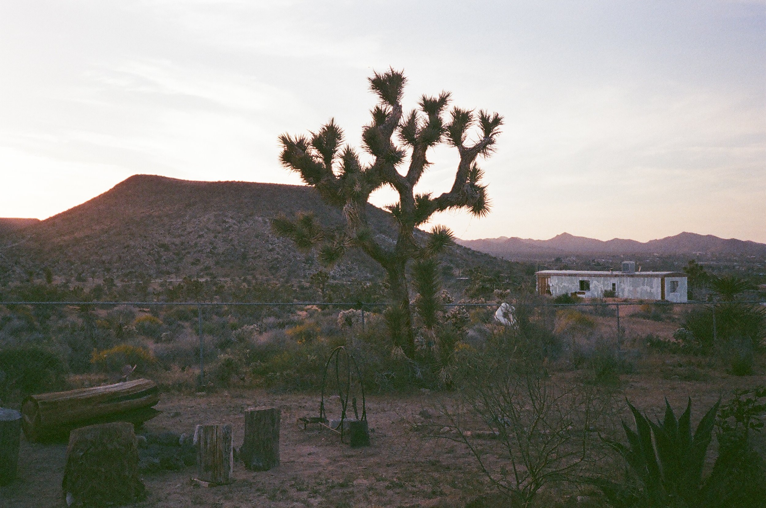  Yucca Mesa, Yucca Valley, California, April 2017 