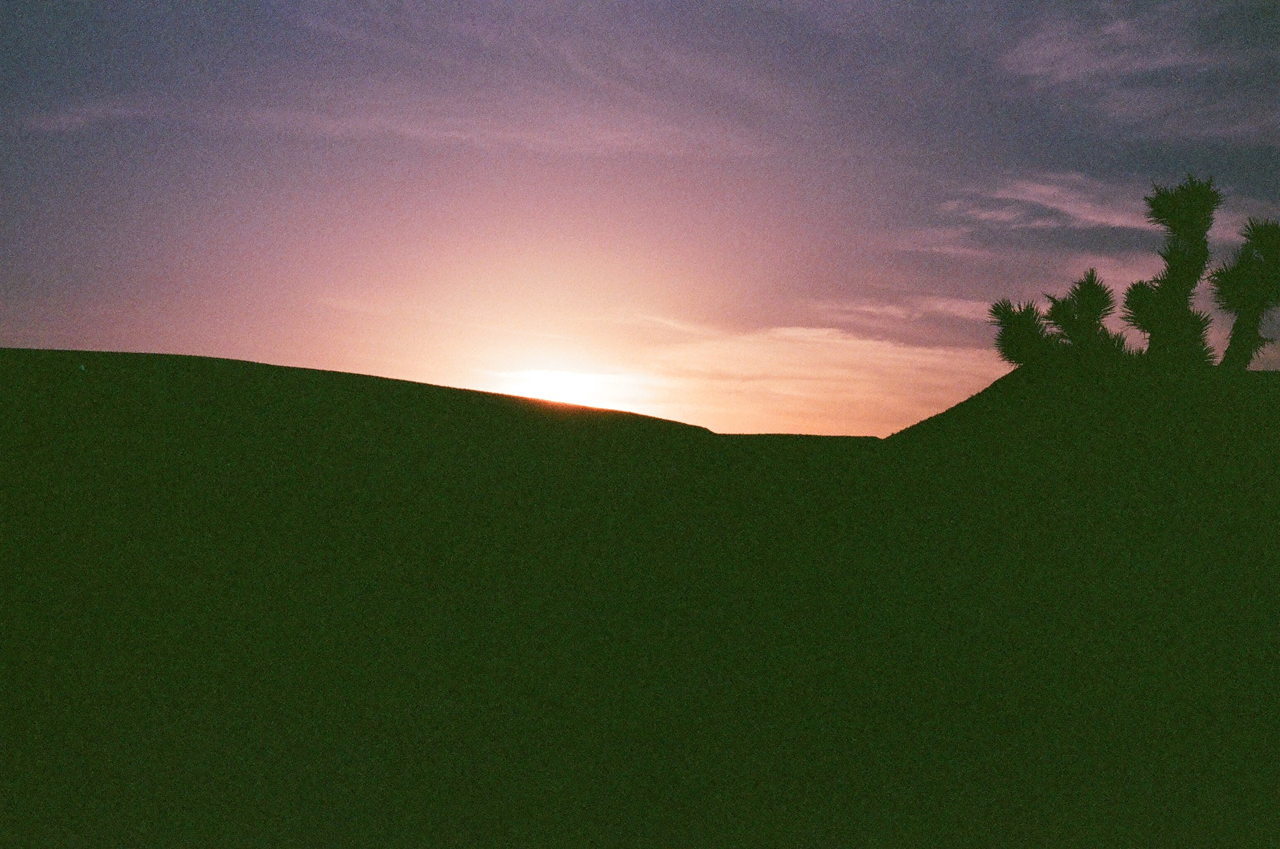  Yucca Mesa, Yucca Valley, California, April 2017 