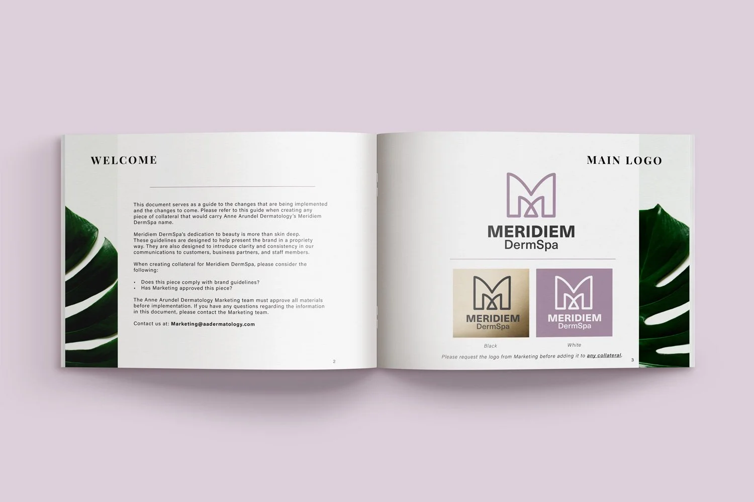 Meridiem_Branding_Guide_1.jpg
