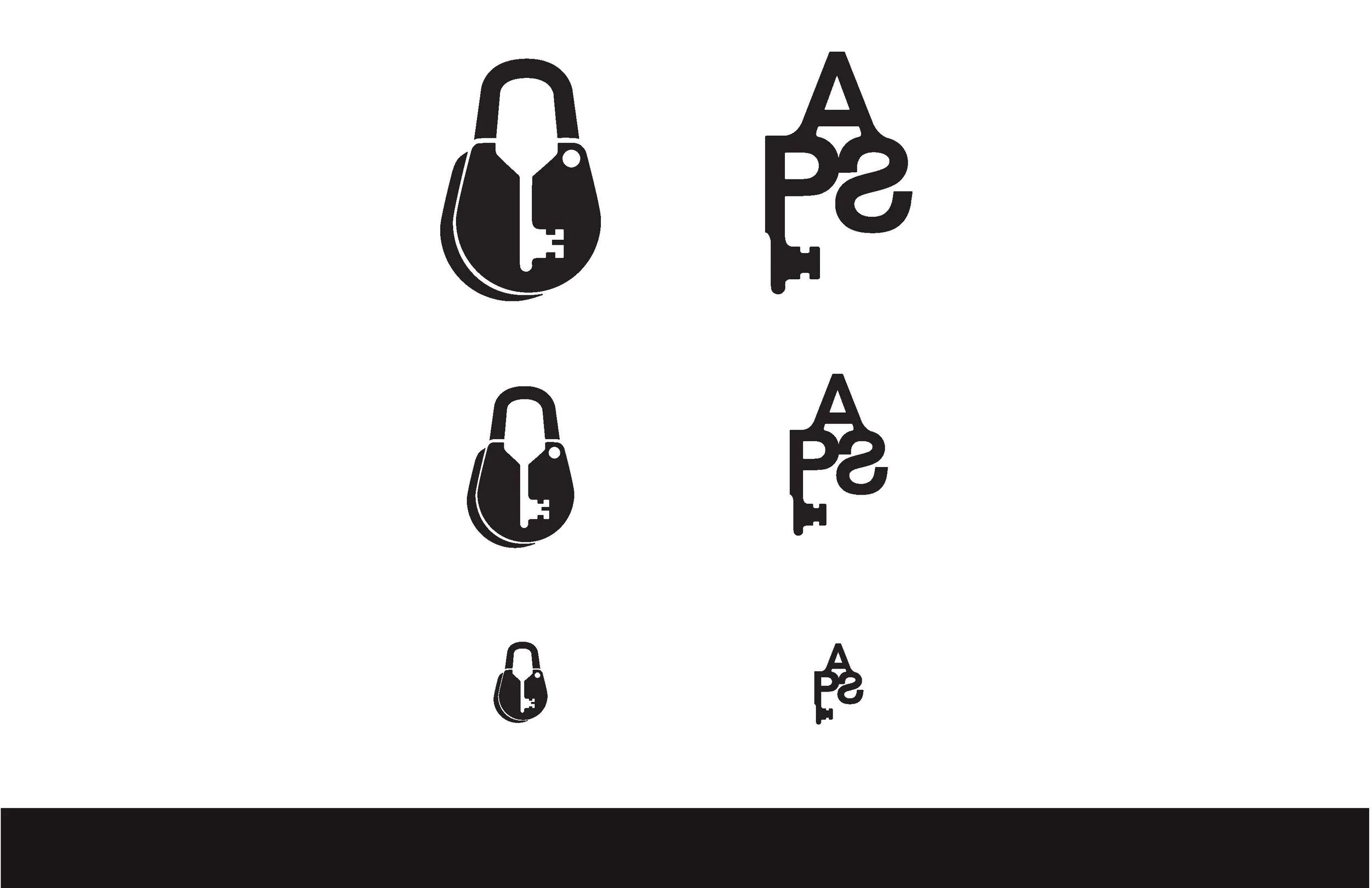 APS_BRAND_DECK copy_Page_6.jpg