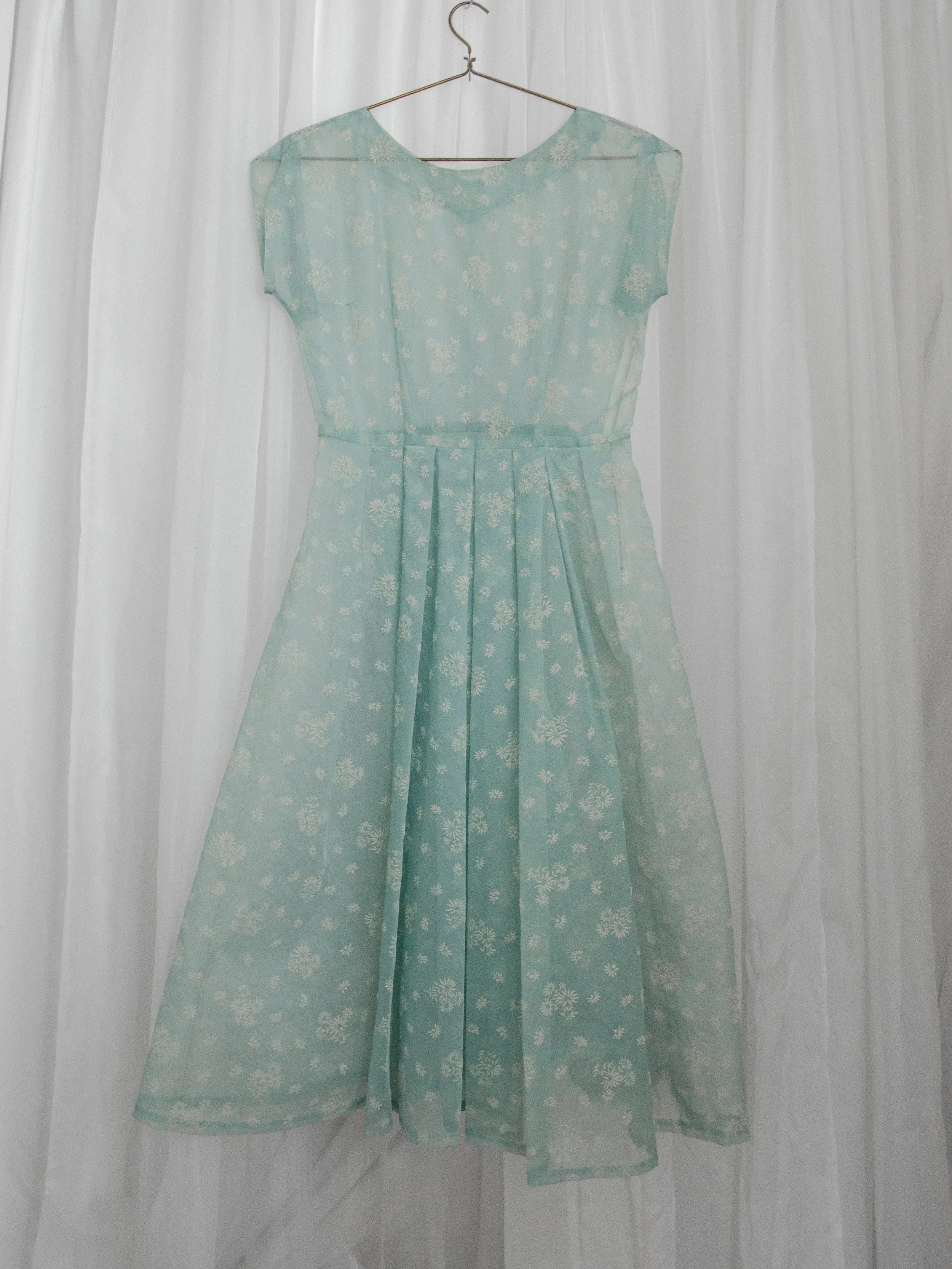 1950s robin's egg blue sheer daisy dress on a hanger, full-length back view with pleated skirt.