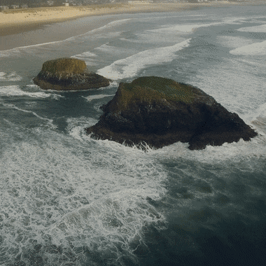   Videography / Photography Services  