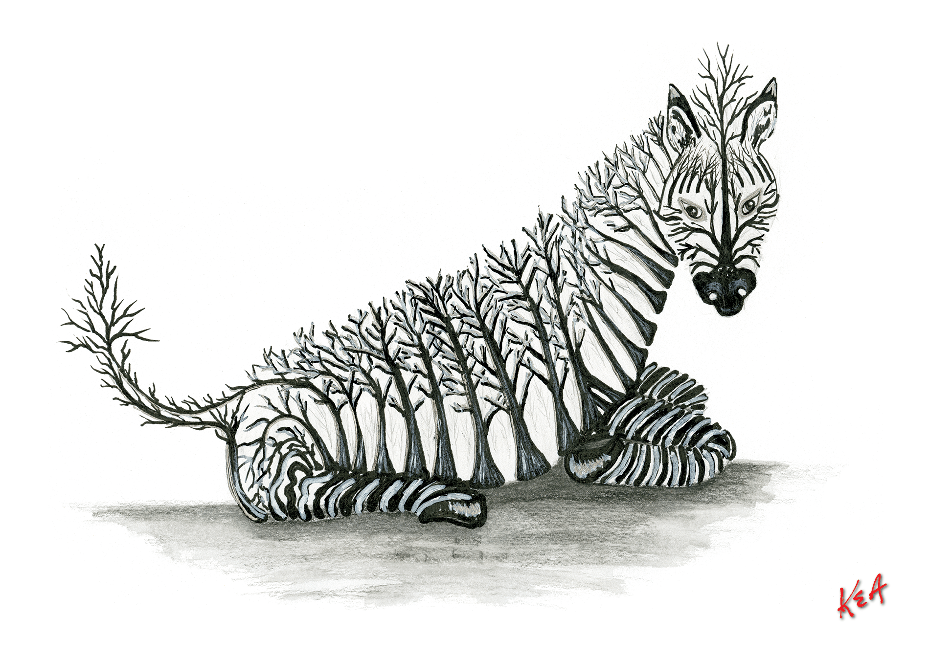 Kea-Zebra.png