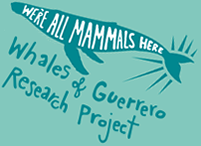 Whales of Guerrero Research Project